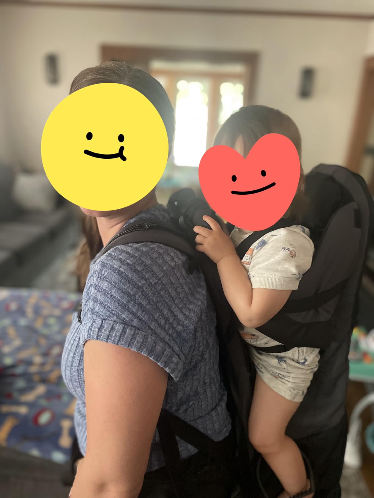 ClevrPlus Deluxe Adjustable Baby Carrier Outdoor Hiking Child Backpack Camping customer photo 1