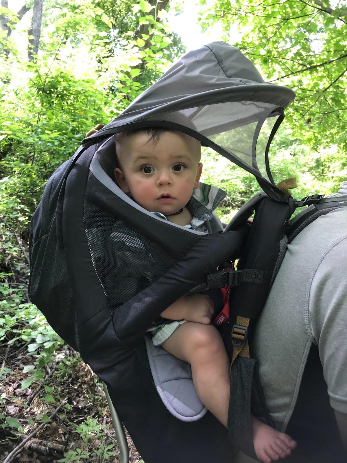 Kelty Journey Perfectfit Child Carrier Backpack customer photo 2