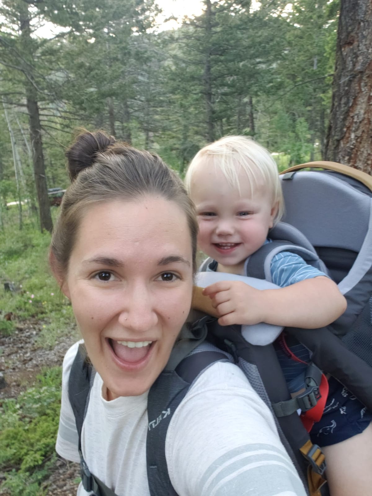 Kelty Journey Signature Child Carrier Backpack, Perfectfit Adjustable Suspension for Moms and Dads, 5 Point Safety Harness, Sunshade SPF Protection, Easy to Clean customer photo 1