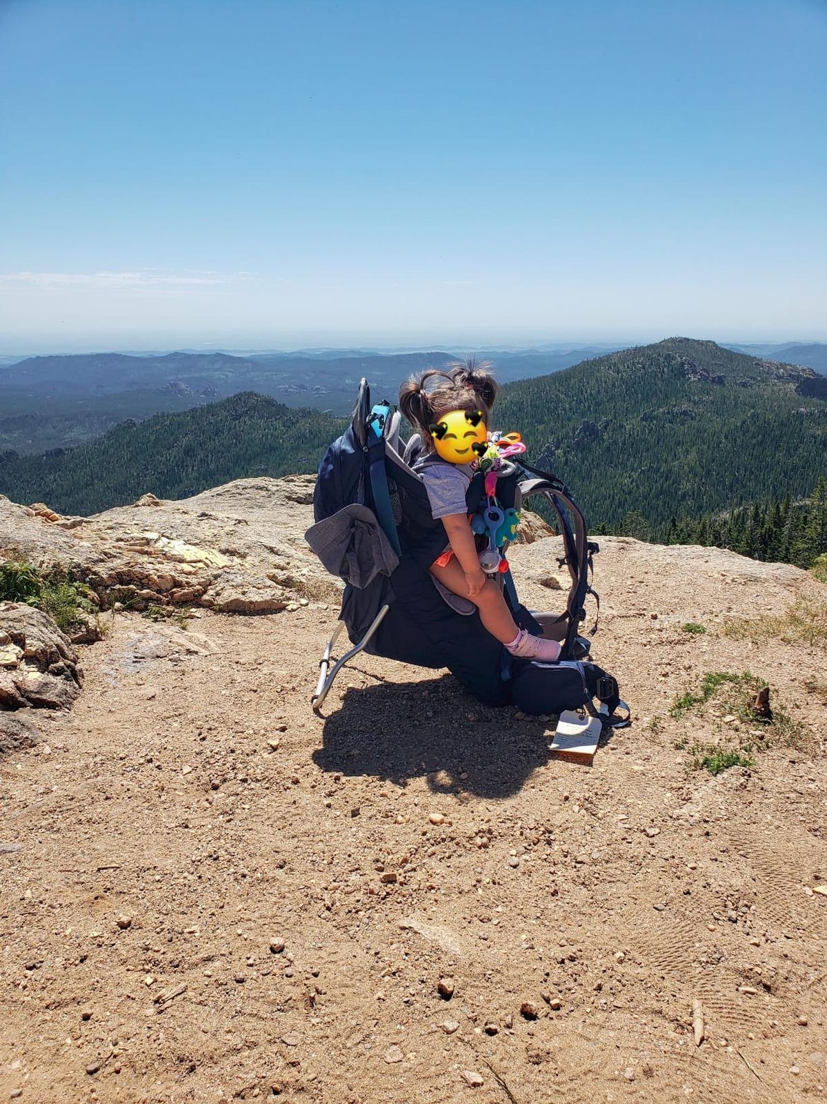 Kelty Journey Signature Child Carrier Backpack, Perfectfit Adjustable Suspension for Moms and Dads, 5 Point Safety Harness, Sunshade SPF Protection, Easy to Clean customer photo 2
