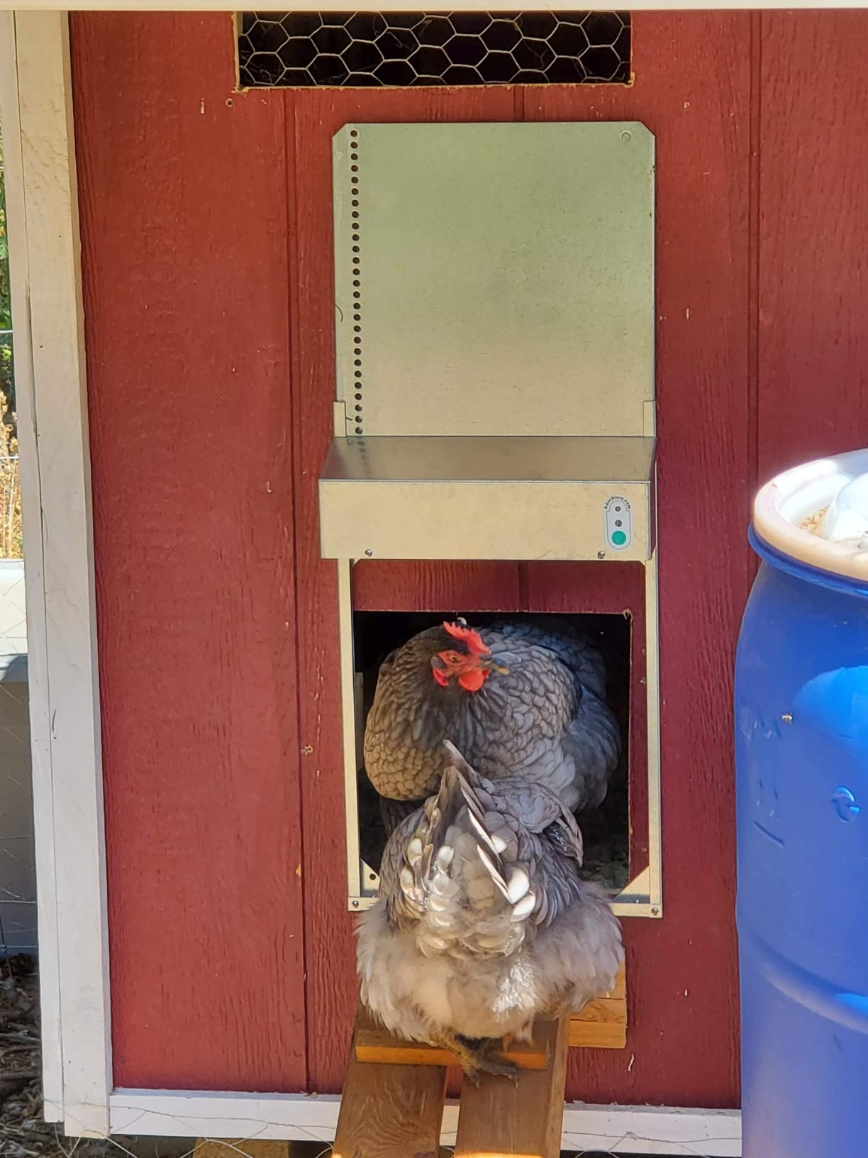 Automatic Chicken Coop Door Extra Large 13 x 10.5 Inch Opening, Heavy Duty Galvanized Steel, Predator Resistant, ADOR1 Made in USA customer photo 1