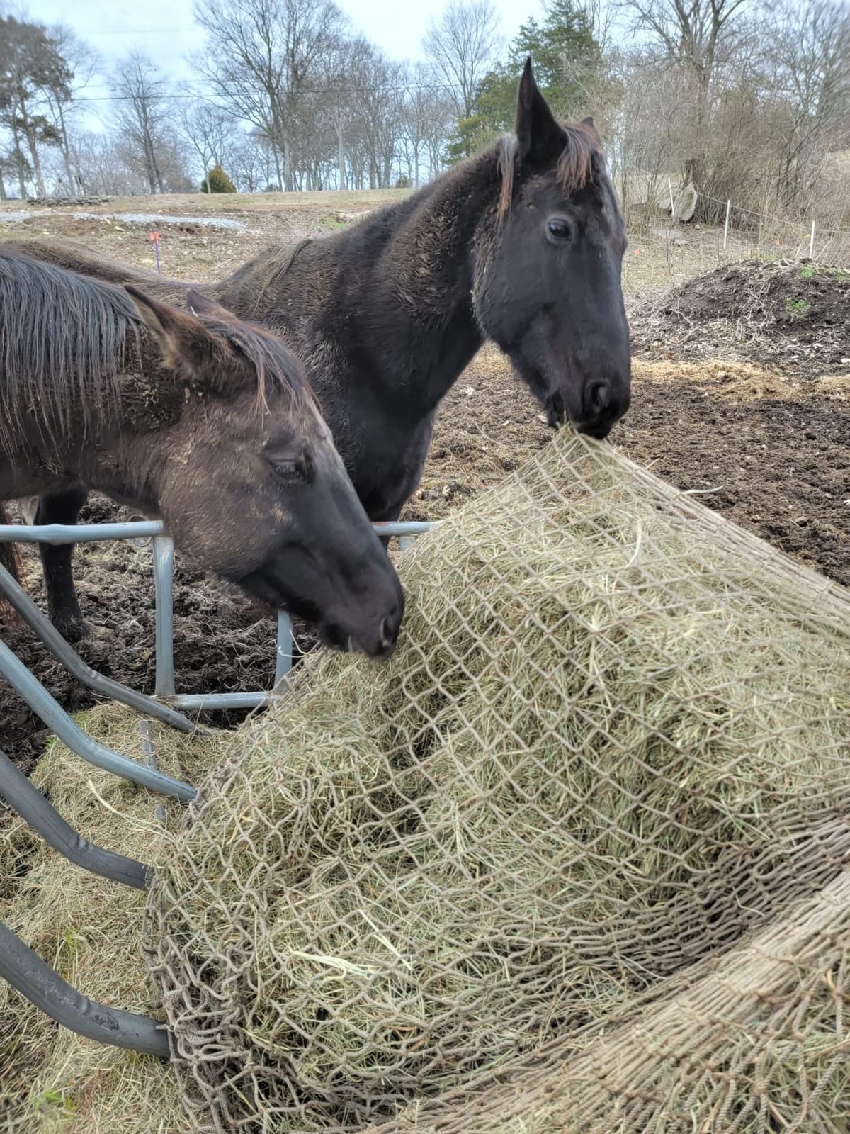 Texas Haynet Heavy Gauge Round Bale Net customer photo 1
