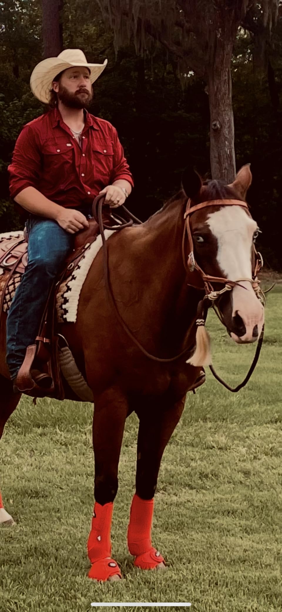 Justin Dunn Bitless Bridle customer photo 2