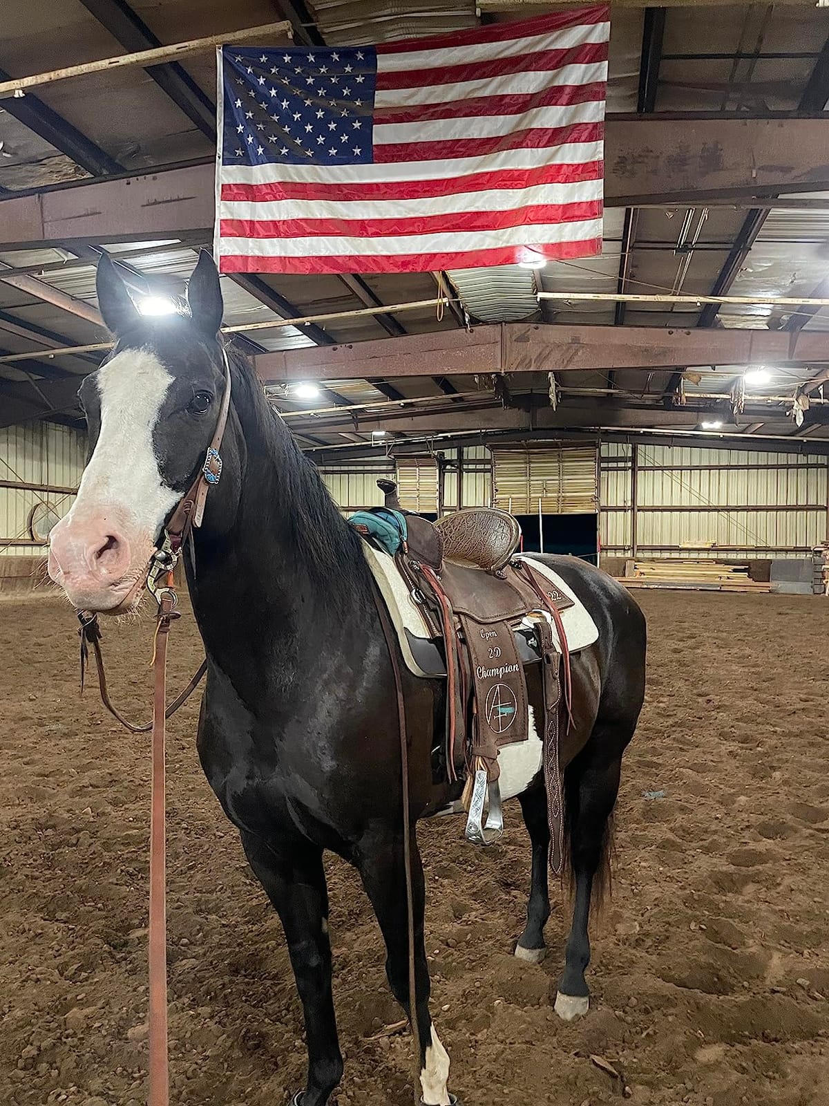 Professional's Choice 100% Steam-Pressed Wool Felt Western Saddle Pad customer photo 1