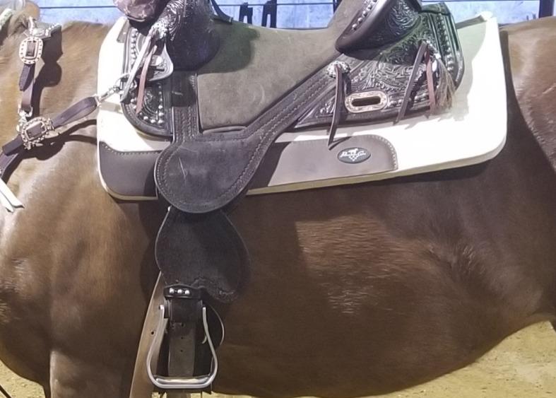 Professional's Choice 100% Steam-Pressed Wool Felt Western Saddle Pad customer photo 2
