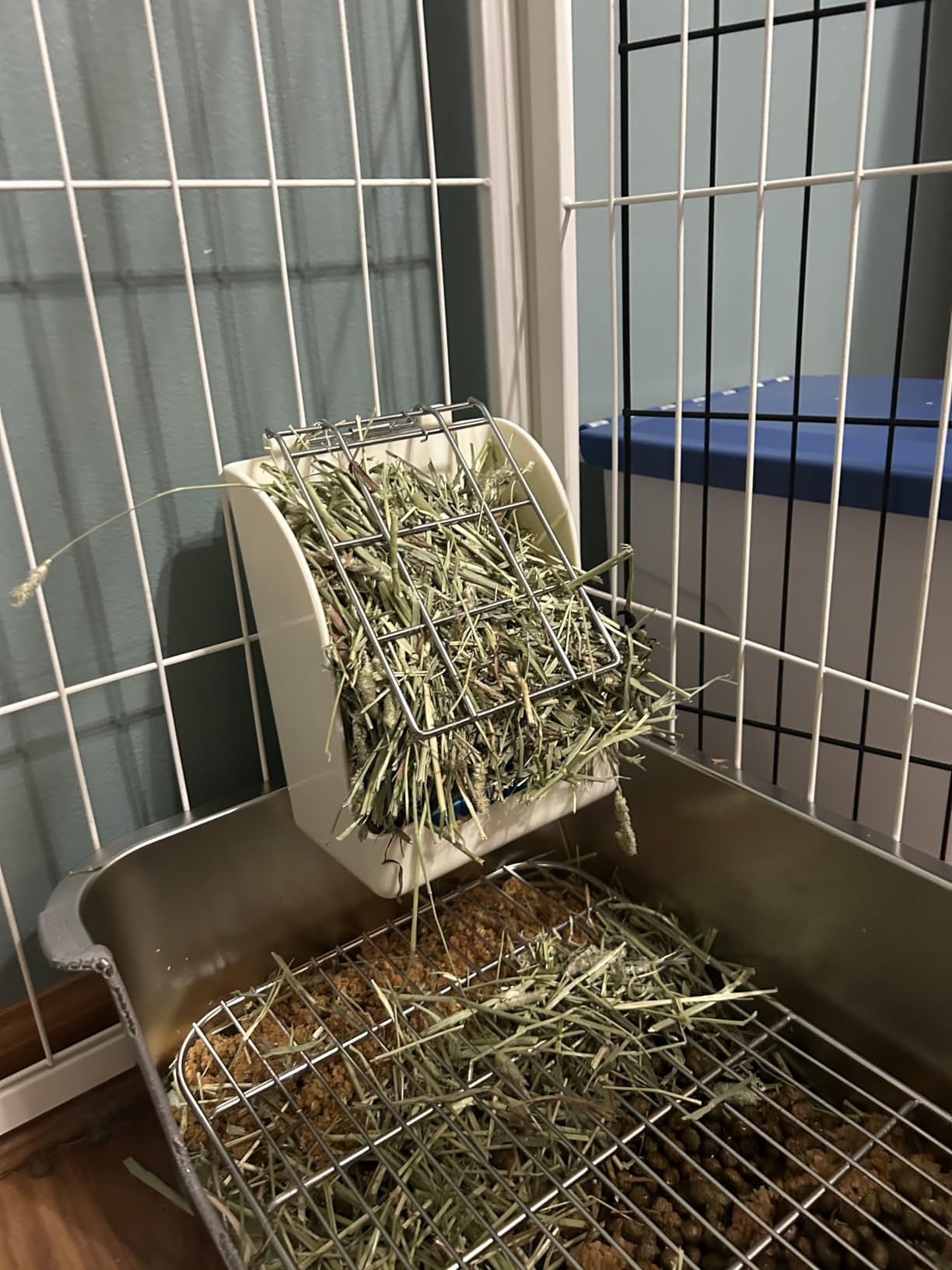 CalPalmy 2-Pack Hay Feeder for Rabbits, Guinea Pigs, and Chinchillas - Minimize Waste and Mess with 5 1/2
