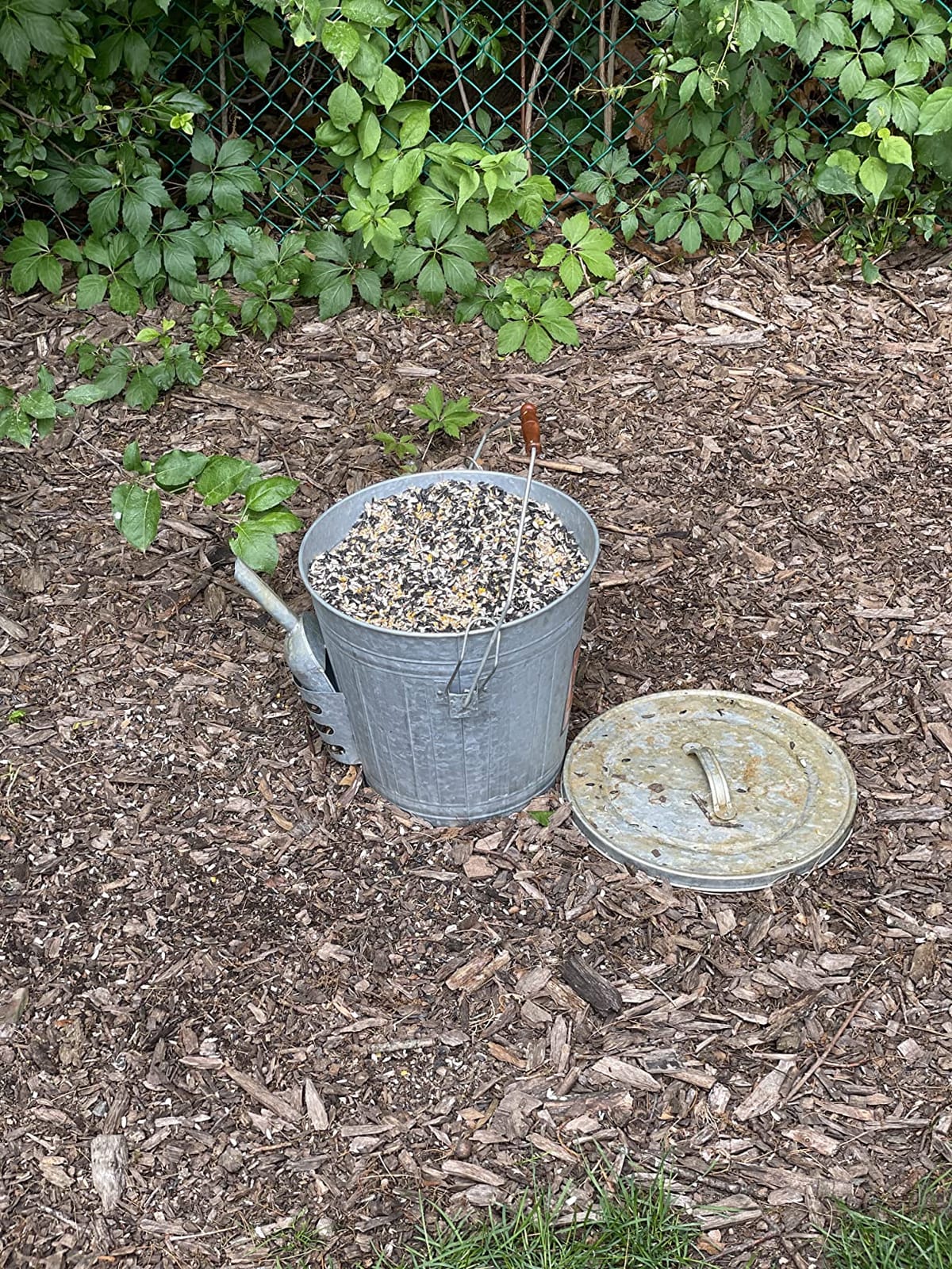 Audubon Woodlink Galvanized Steel Rustic Farmhouse Bird Food and Seed Locking Storage Bucket Bin with Scoop, Holds up to 16.5 Quarts or 25 Pounds customer photo 1