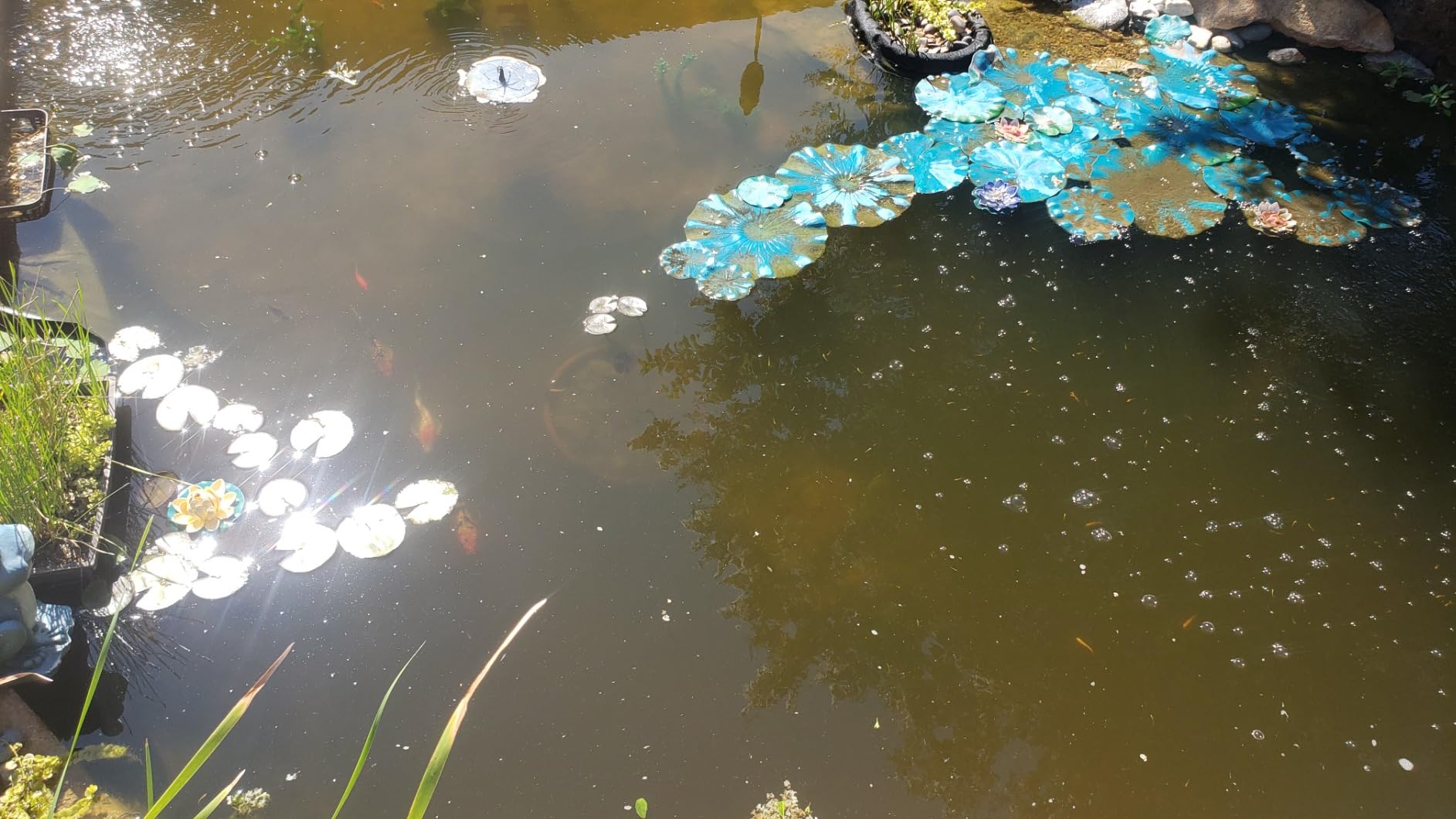 The Pond Guy UltraUV Pond Water Clarifier, EPA Registered UV Light, 13 Watt customer photo 2