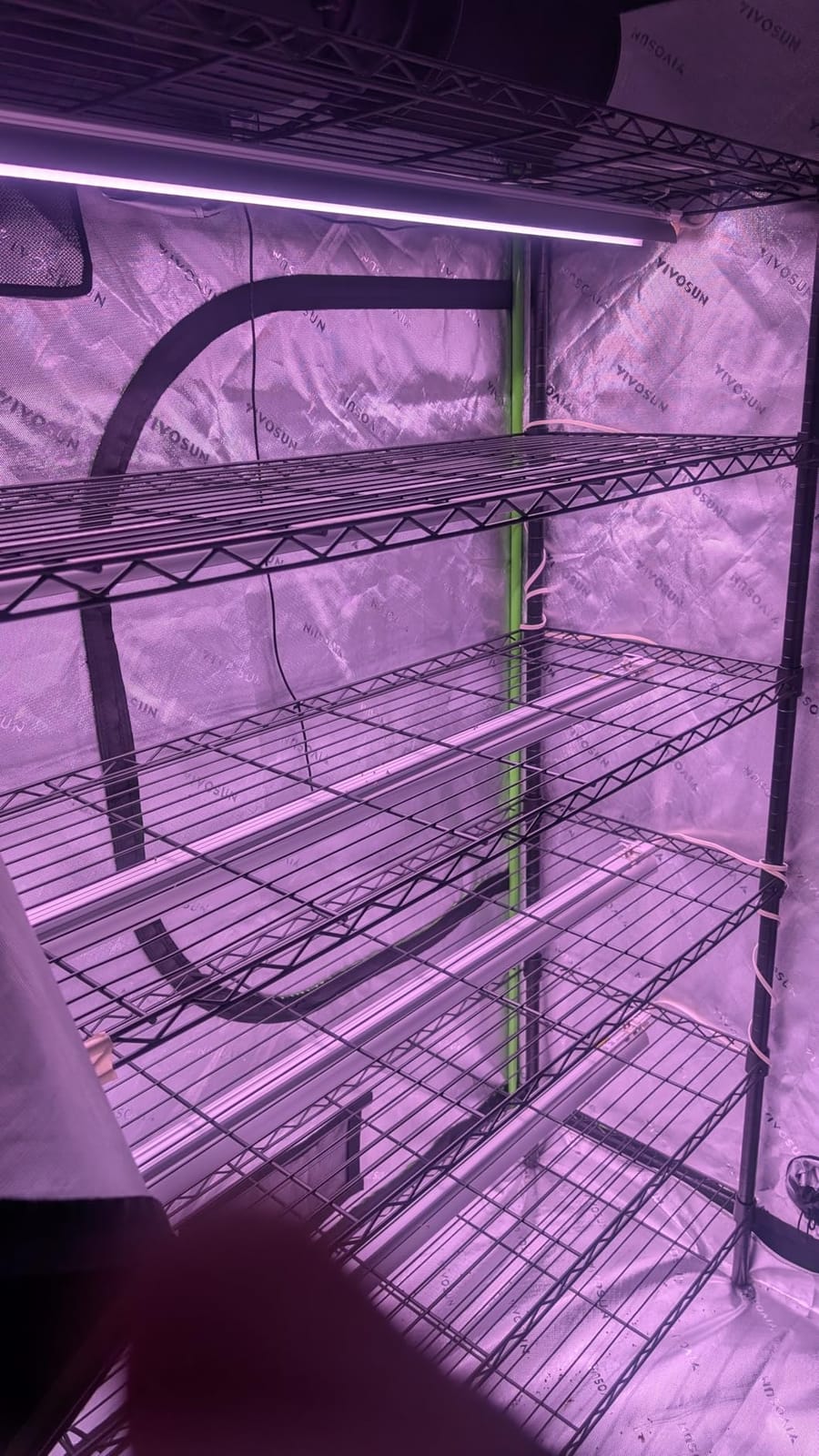 Barrina LED Grow Light, 252W(6 x 42W) 4ft T8, Full Spectrum, Pink, 6 Packs customer photo 1