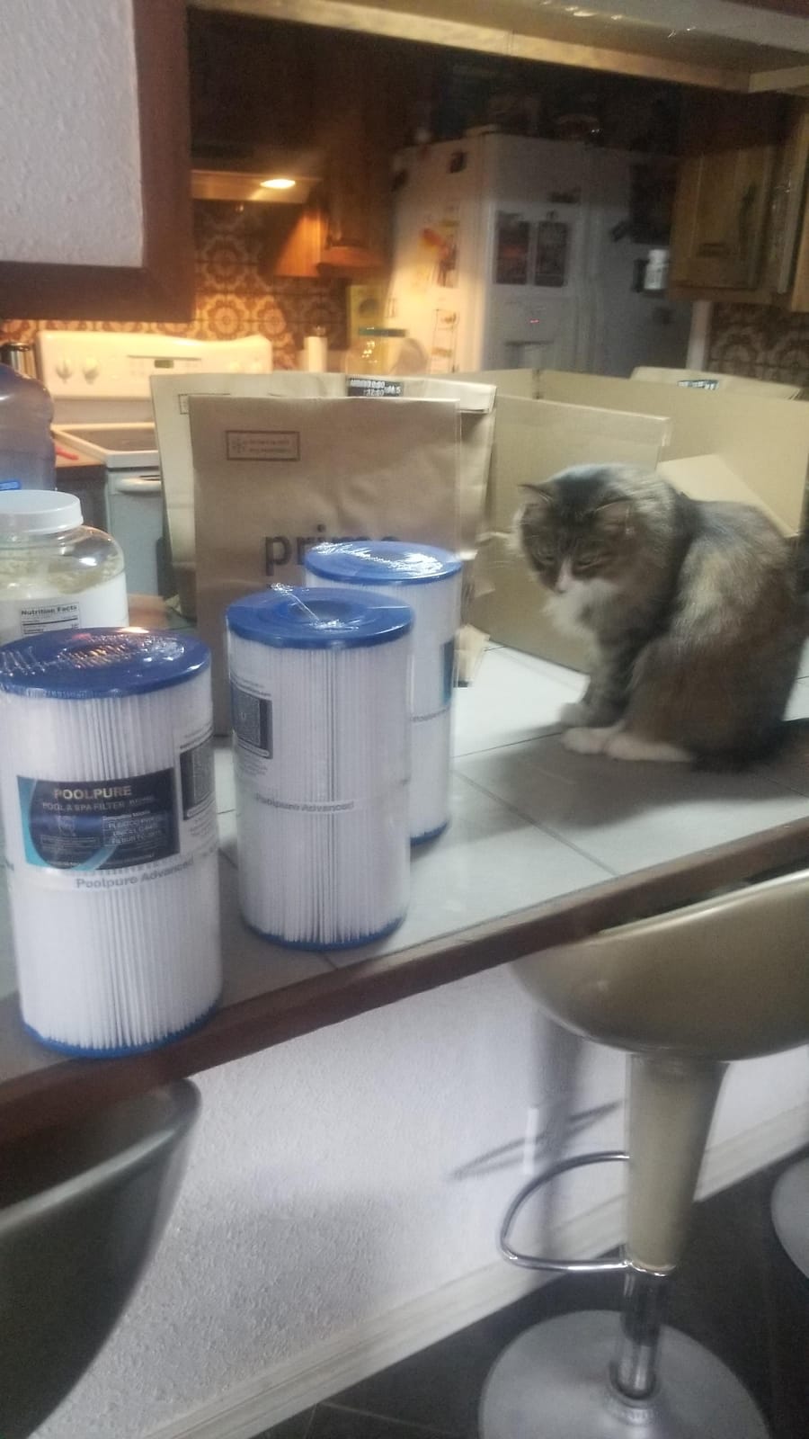 POOLPURE C-6430 Spa Filter Replaces 31489, PWK30, Filbur FC-3915, 3 Pack customer photo 2