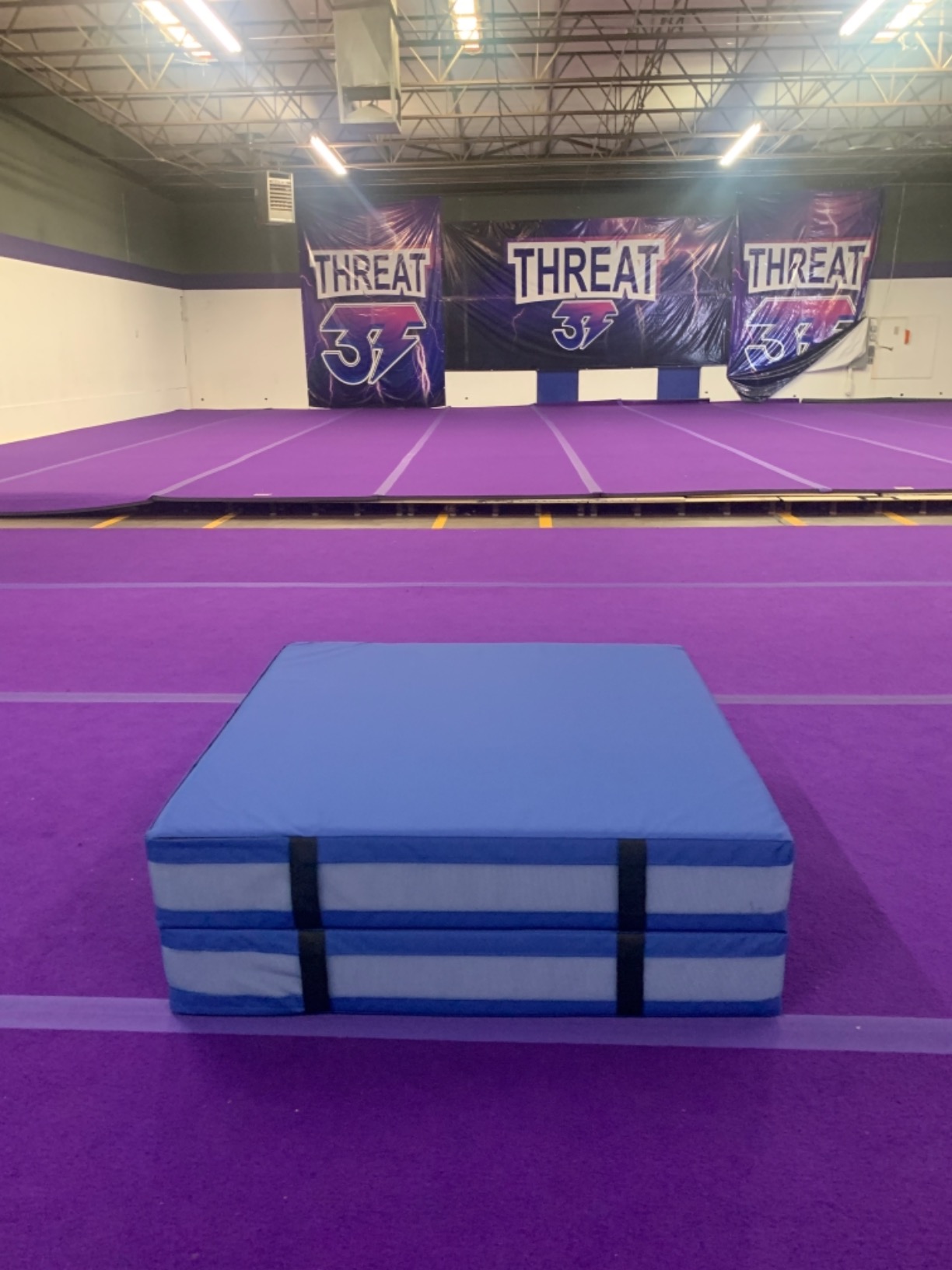 We Sell Mats Bifolding Gymnastics Crash Landing Mat Pad, Safety for Tumbling, Back Handspring Training and Cheerleading customer photo 1