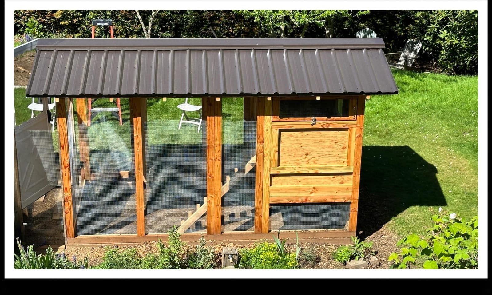 RUN-CHICKEN Door T50 – Automatic Chicken Coop Door Opener, Battery Powered & Weatherproof Aluminum, Smart App & Timer Control, Predator Proof, Easy Install, Reliable All-Season Performance (Brown) customer photo 2