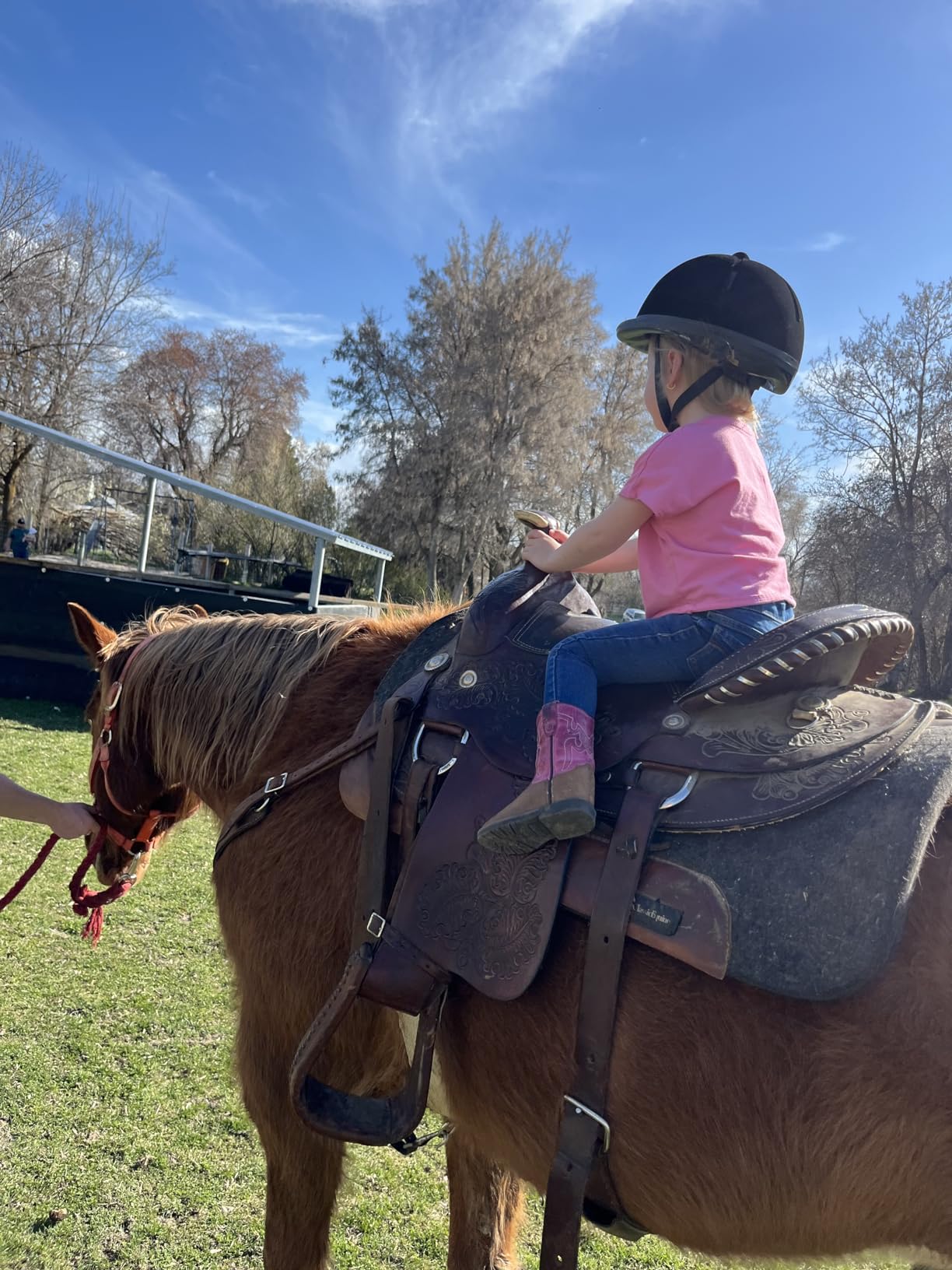 Adjustable Horse Riding Kids Helmet Equestrian for 2 to 6 Years Old, S Size and Head Size 48 to 54cm customer photo 1