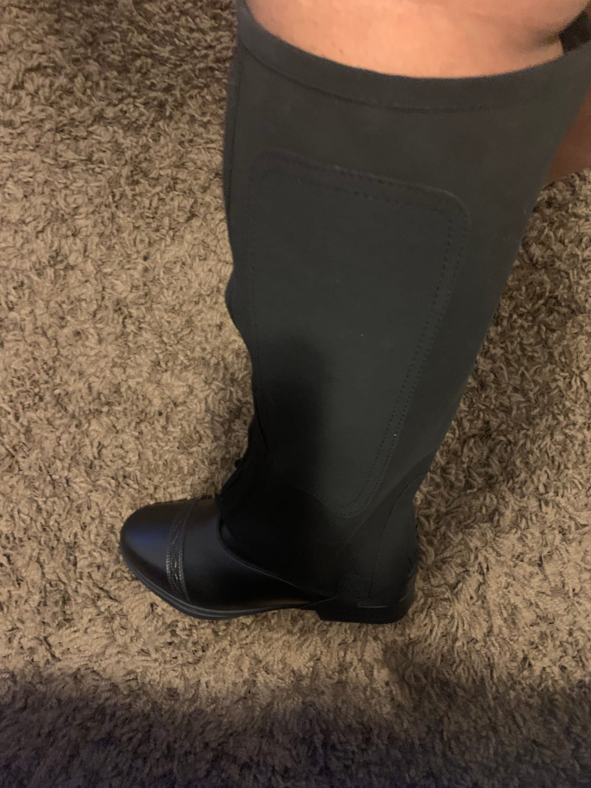 A&H Apparel Unisex Adult Amara Synthetic Equestrian Half Chaps Black Leather Half Chaps (Medium) customer photo 1