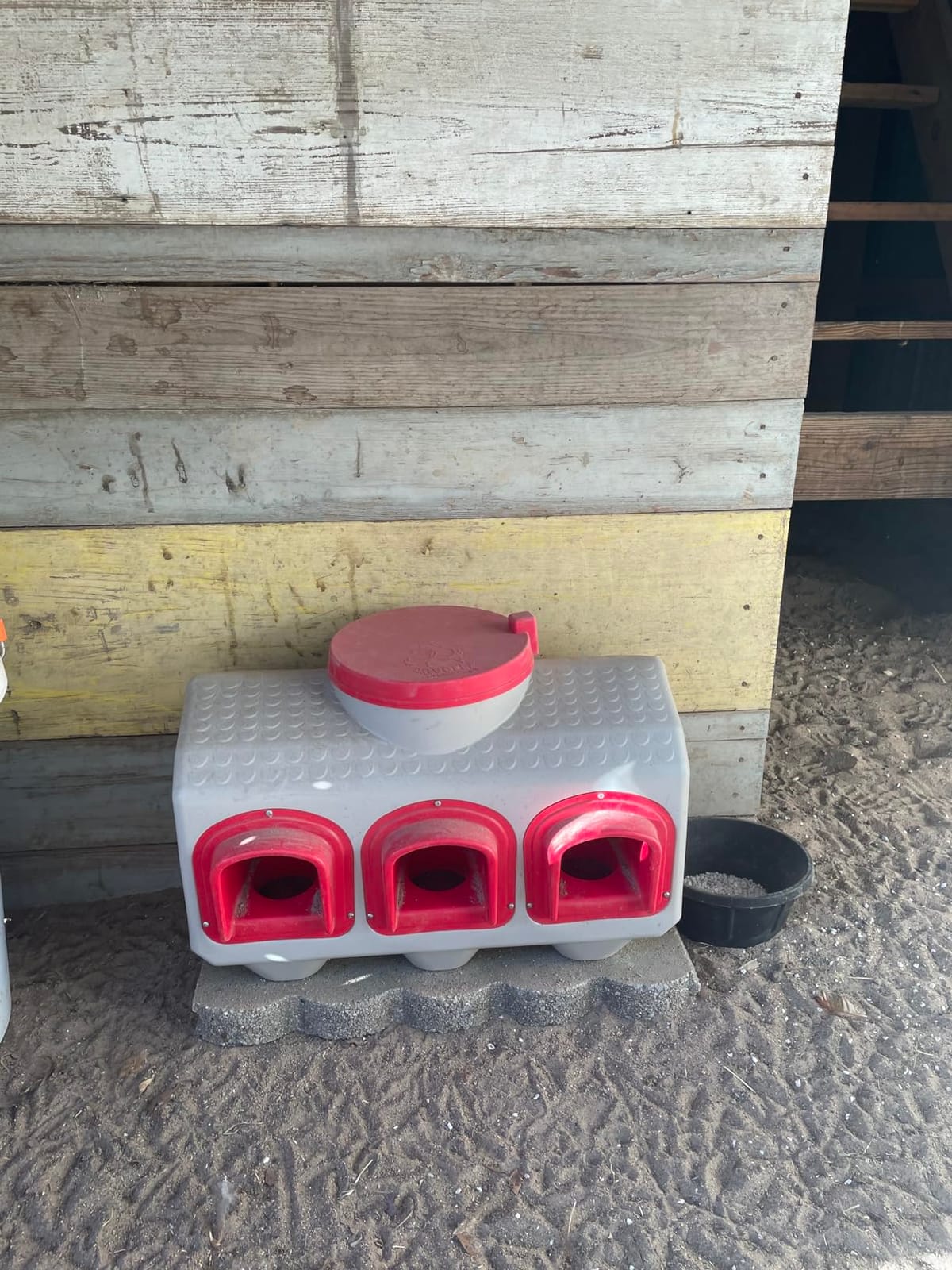 OverEZ Chicken Feeder - Holds 50 Pounds of Feed - Inside or Outside Hen Coop - Large Gravity Fed Automatic Poultry Dispenser - No Waste Rainproof Design customer photo 1