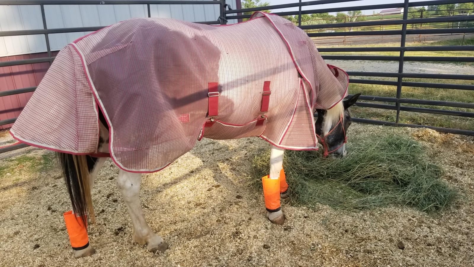 WeatherBeeta ComFiTec Ripshield Plus with Belly Wrap Detach A Neck customer photo 2