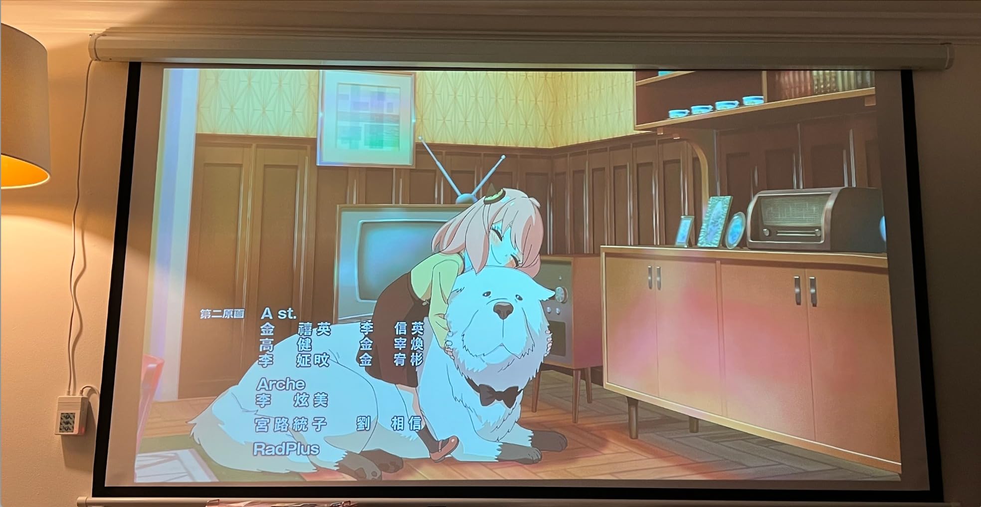 100 Inch Motorized Projector Screen with RF Remote, 16:9 HD, Silver Case customer photo 2