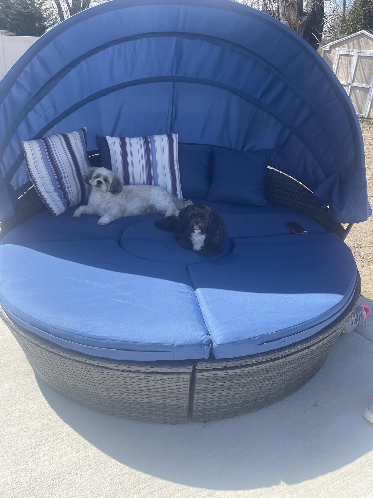 Tangkula Patio Round Daybed with Retractable Canopy, Outdoor Wicker Rattan Furniture Sets, Sectional Cushioned Sofa Set w/Height Adjustable Coffee Table, Rattan Conversation Sets (Black) customer photo 2