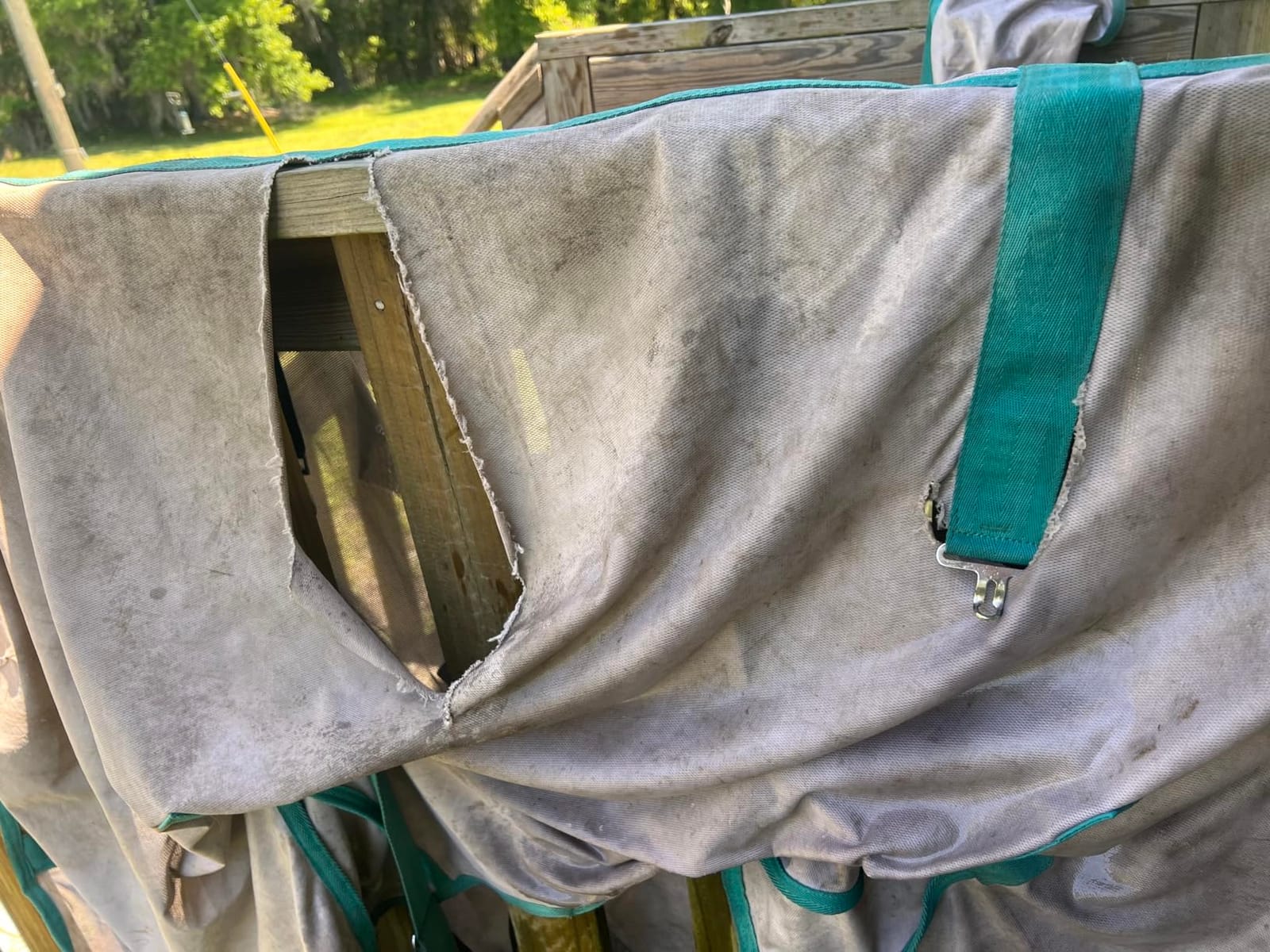 Heavy Duty Horse Fly Sheet with Neck and Detachable Belly Band | Summer Sheet (78, Purple) customer photo 1