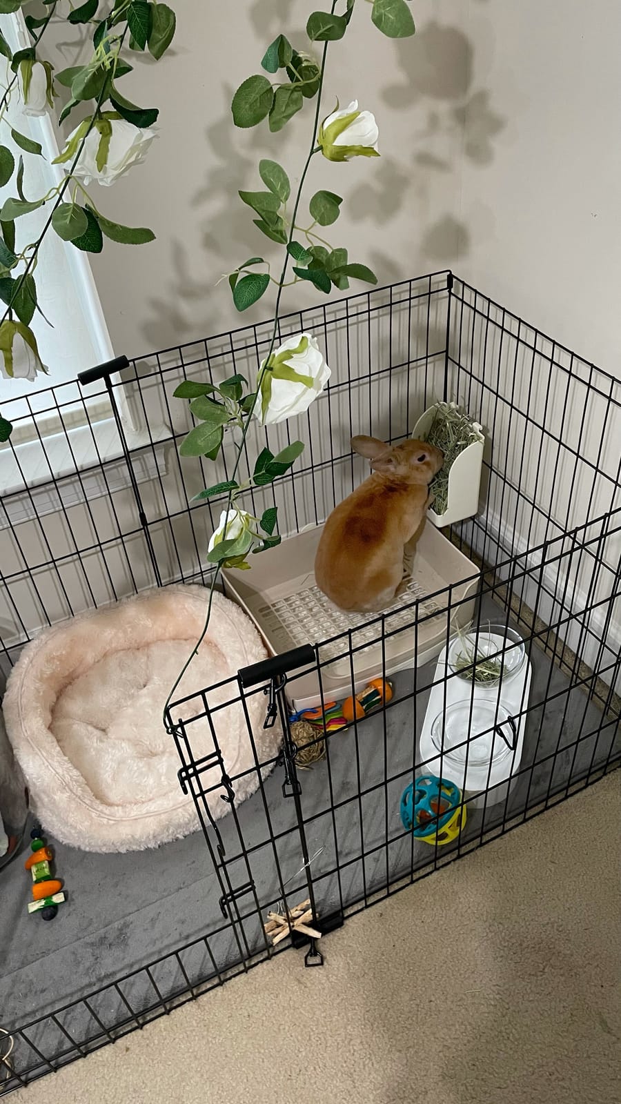 Rabbit Hay Feeder, Large Capacity Bunny Hay Rack for Rabbits, Guinea Pigs, Chinchillas, Small Animals, Hay Dispenser customer photo 1