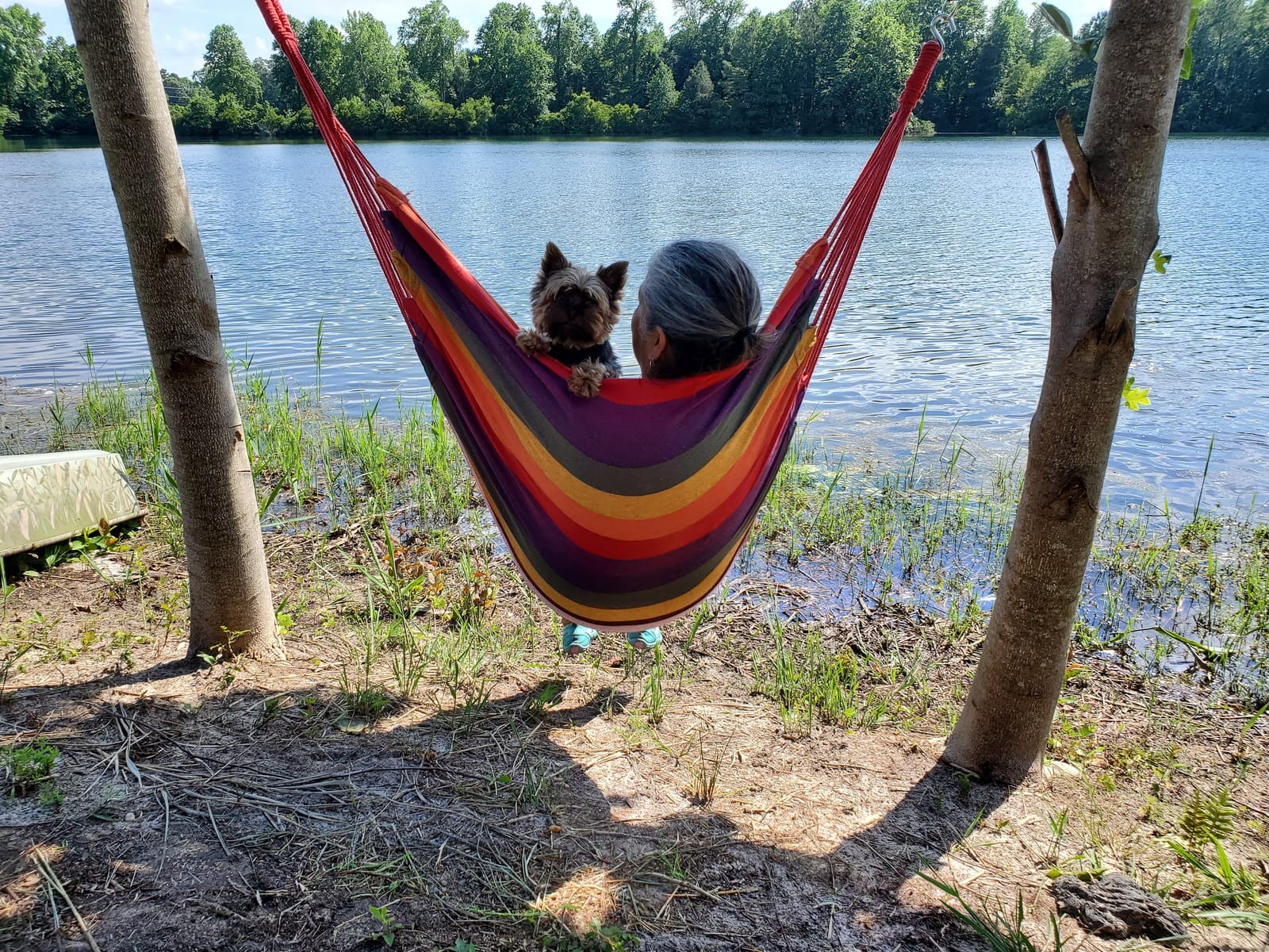 Hommtina Hammock Chair Hanging Rope Swing, Max 300 Lbs Hanging Chair with Pocket & Durability Perfect for Outdoor, Home, Bedroom, Patio, Yard (Pillows NOT Included,Dark Gray) customer photo 1
