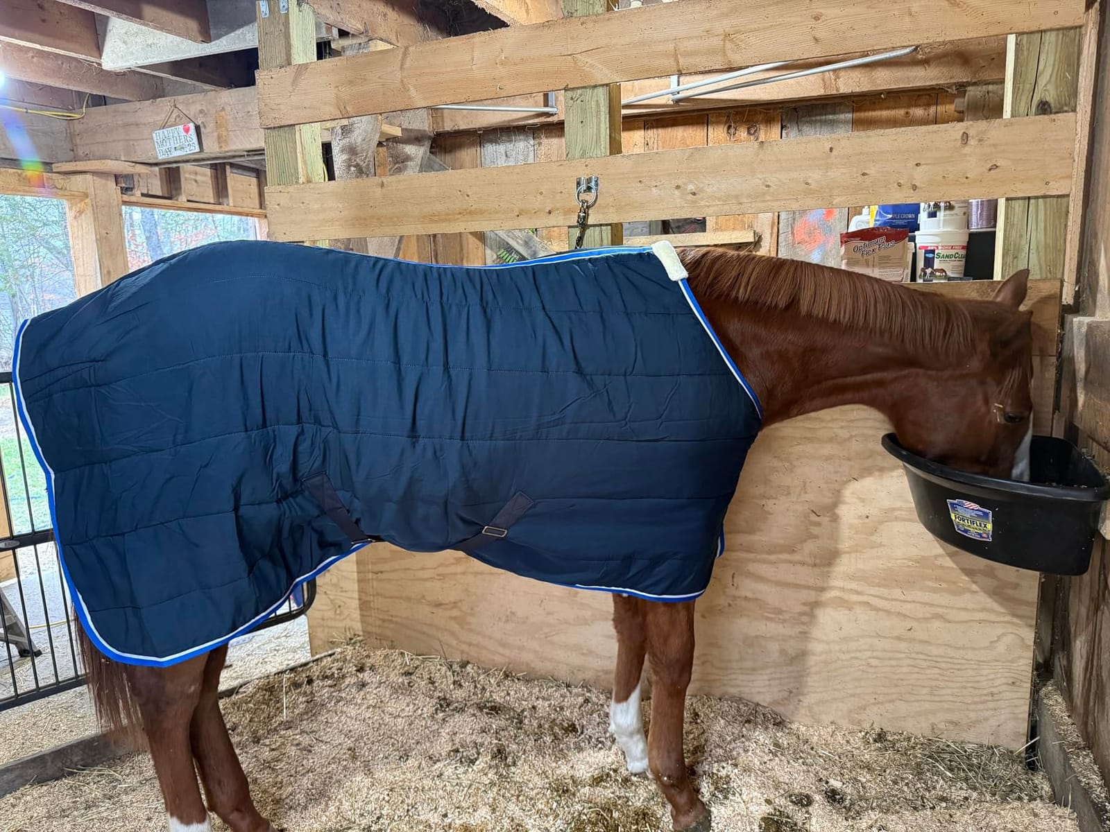Horze Glasgow Anti-Slip Stable Horse Blanket (100g Fill) - Dark Blue - 75 in customer photo 2