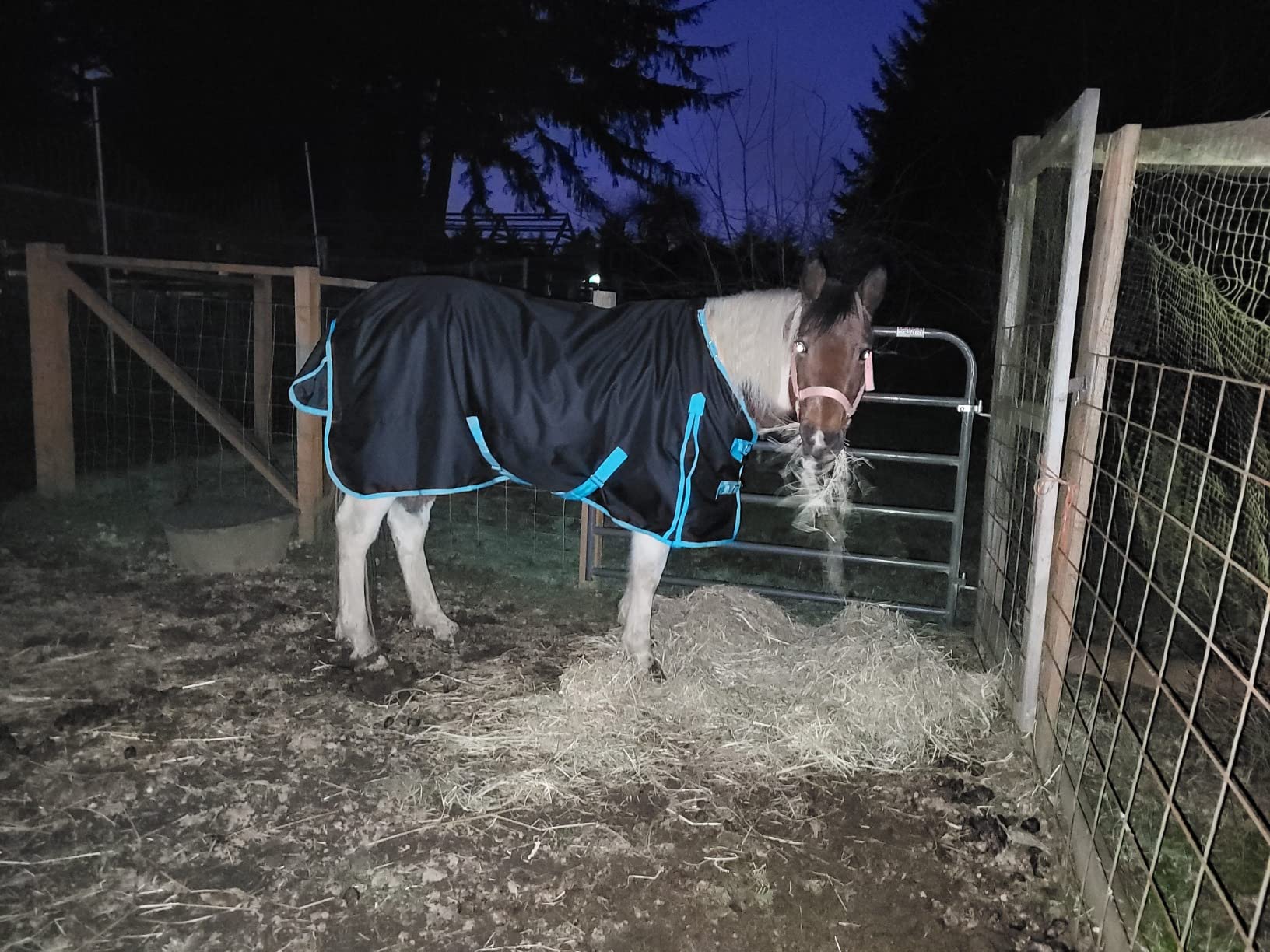 1200 Denier Horse RAIN Sheet (Waterproof/Breathable & Wind Proof Turnout Sheet) Horse Breathable RAINSHEET (Black-Turquoise, 80) customer photo 1