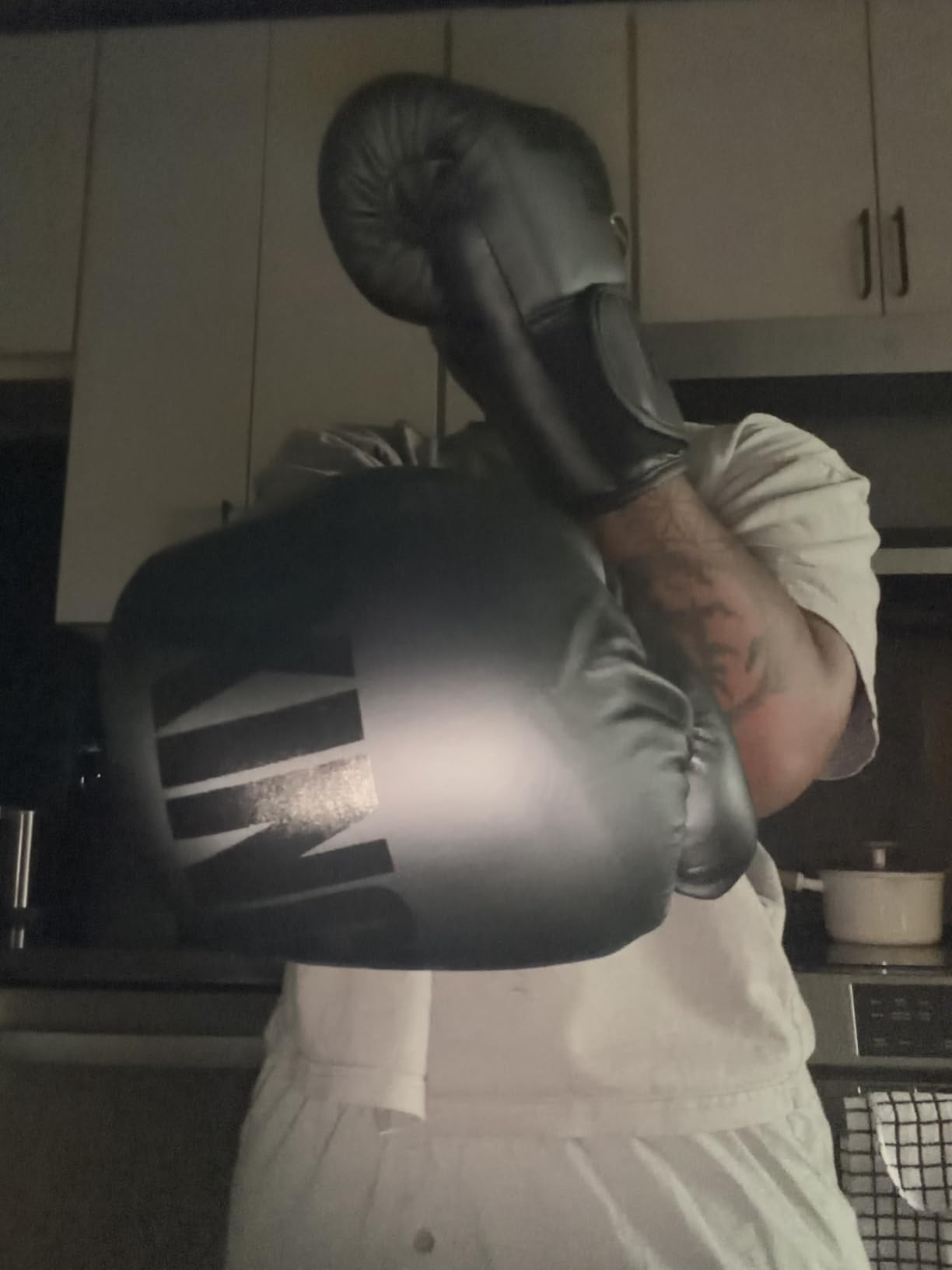 Boxing Gloves for Men Women Adults customer photo 2