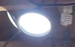 Outdoor LED Grow Lights for Greenhouse 6-Light Waterproof String Grow Light, Full Spectrum LED Plant Grow Light Lamp, Waterproof Greenhouse Grow Lights for Seedling, Veg, Flower customer photo 2