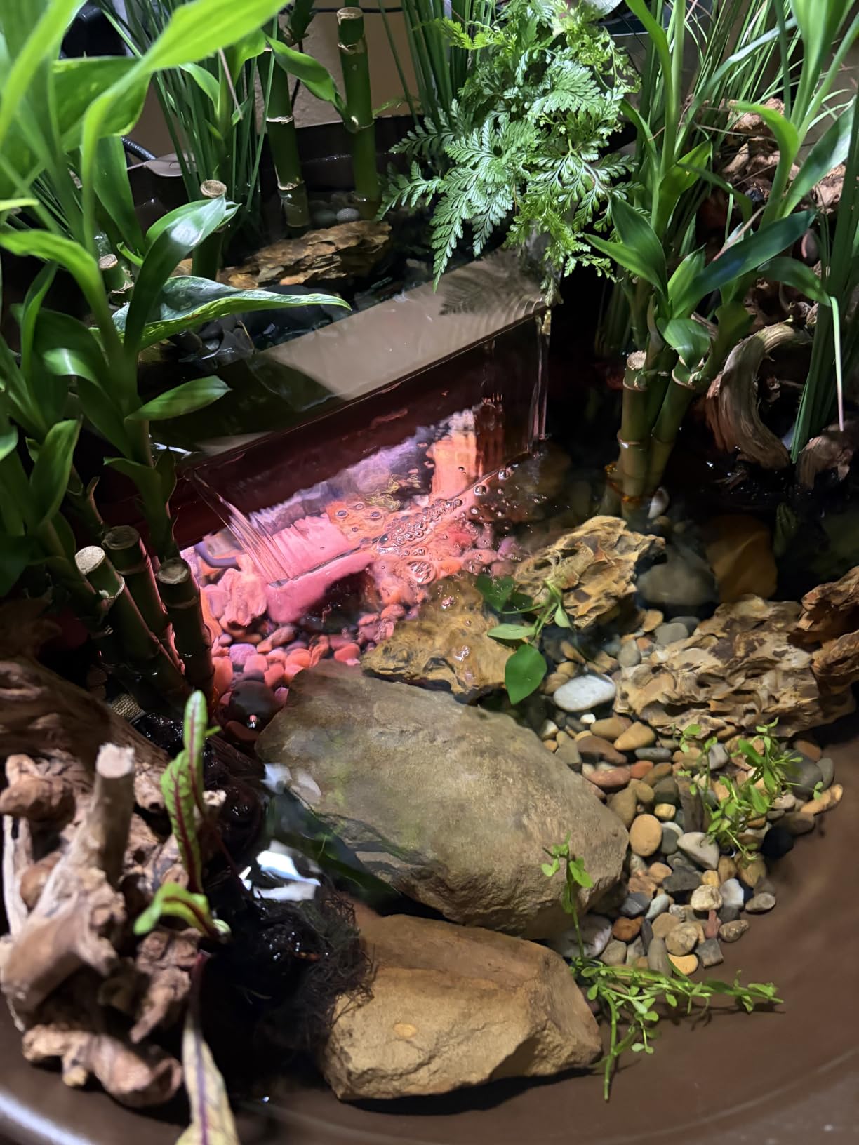 Aquascape Pond and Waterfall Kit AquaGarden Container Water Garden, Steel Gray customer photo 2