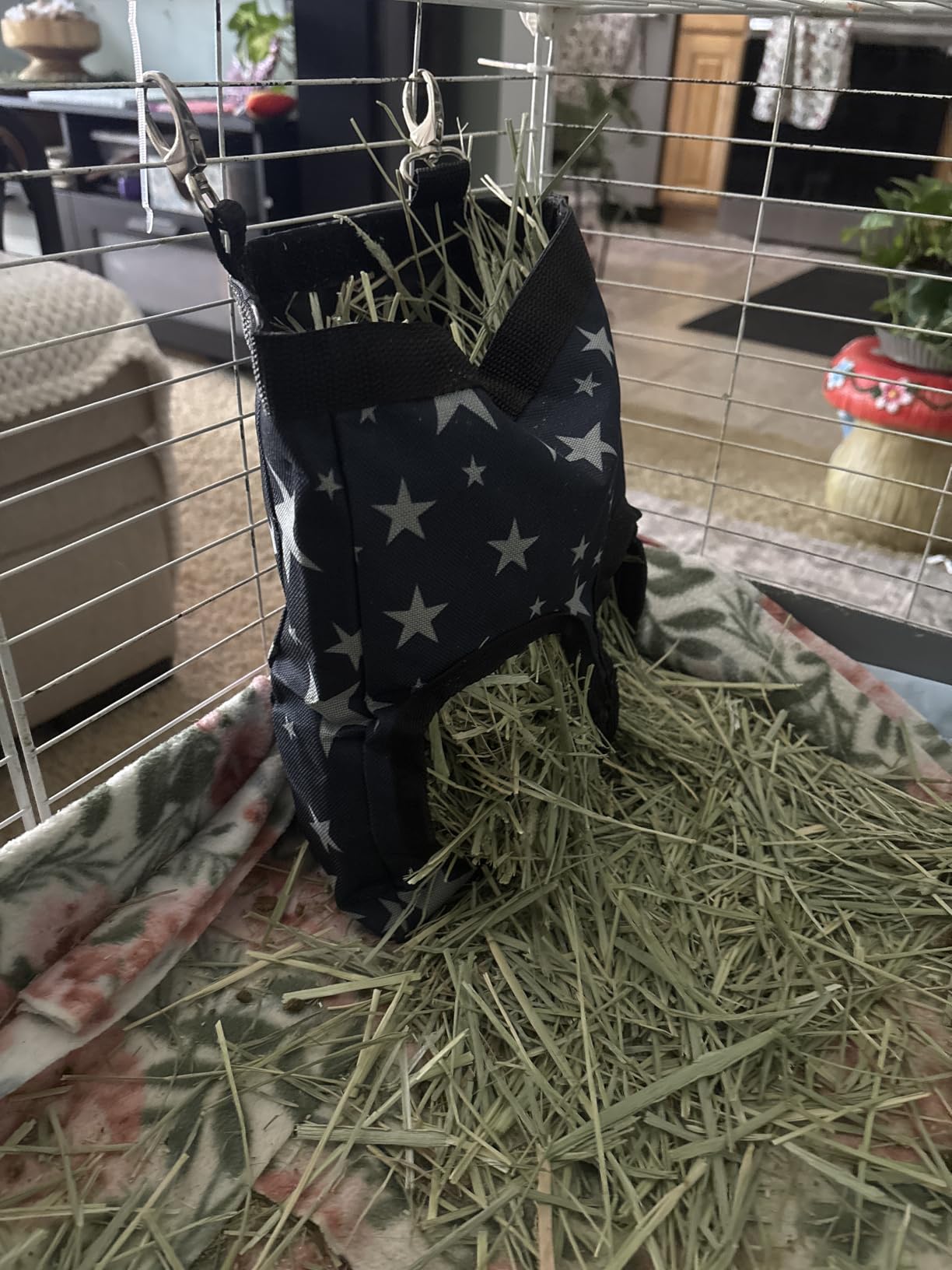 RIOUSSI Guinea Pig Hay Feeder, Hanging Rabbit Hay Feeder Bag. Stars customer photo 2
