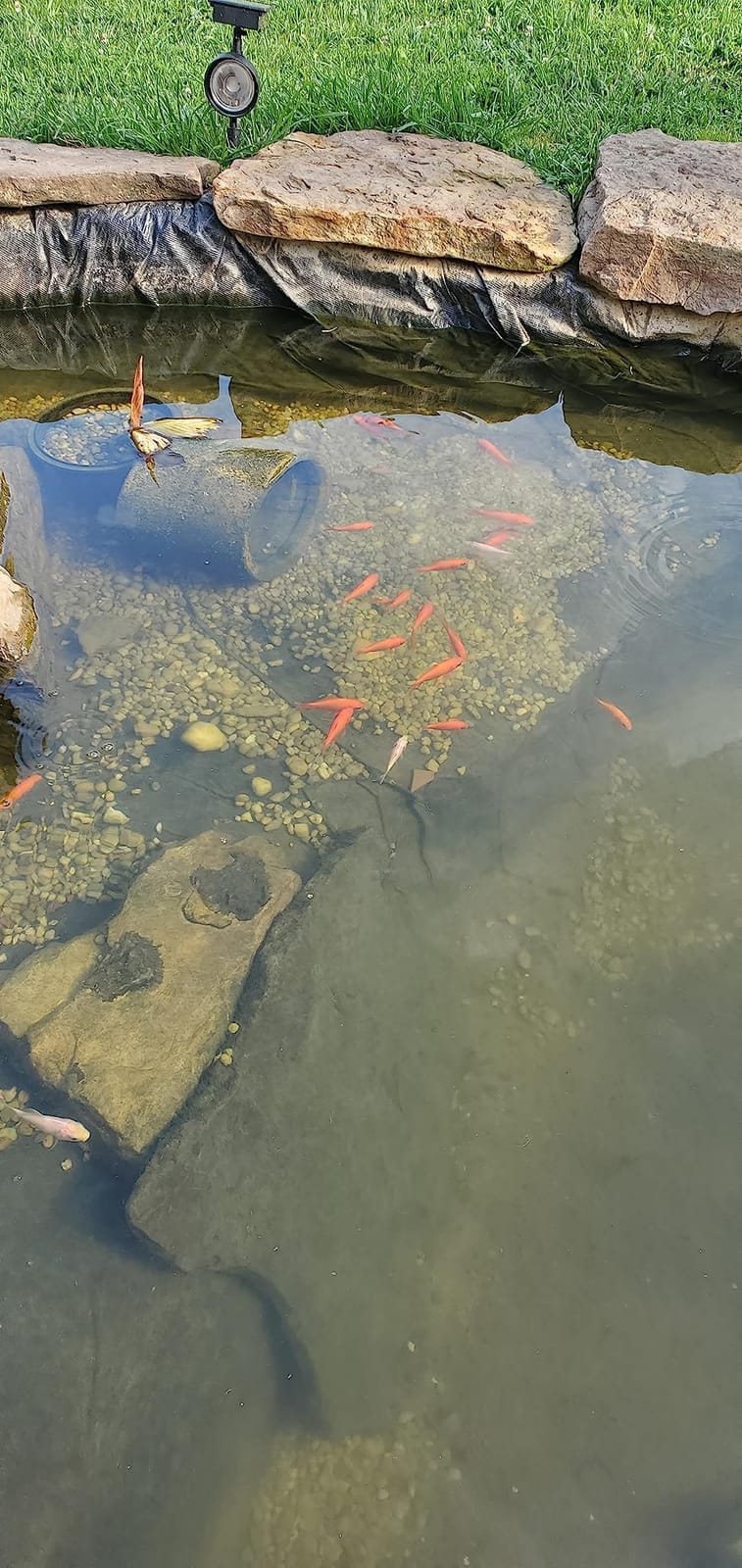 Jebao PU-18 Pond and Aquarium Clarifier, 18-watt customer photo 2