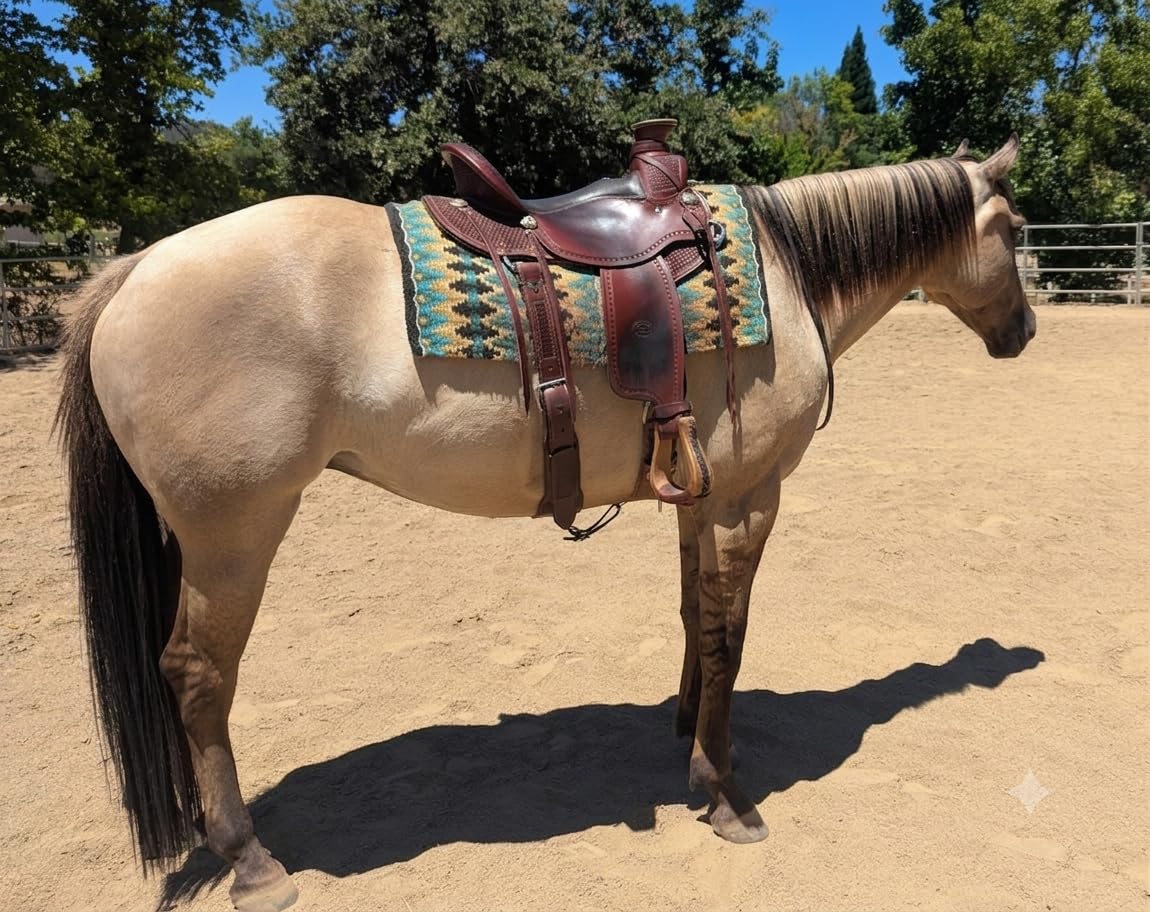 Tahoe Tack Reya Western Show Saddle Blanket – Handwoven 100% New Zealand Wool, Oversized 34