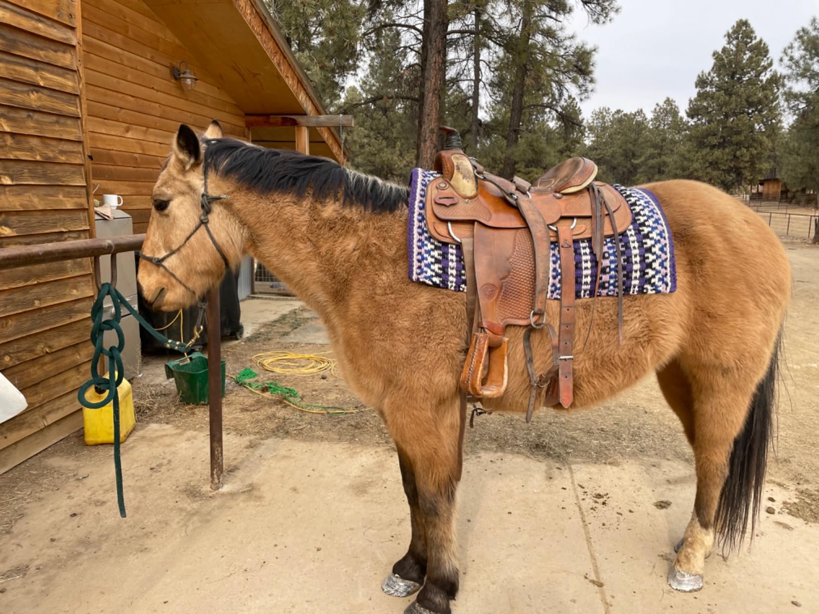 Tahoe Tack Reya Western Show Saddle Blanket – Handwoven 100% New Zealand Wool, Oversized 34