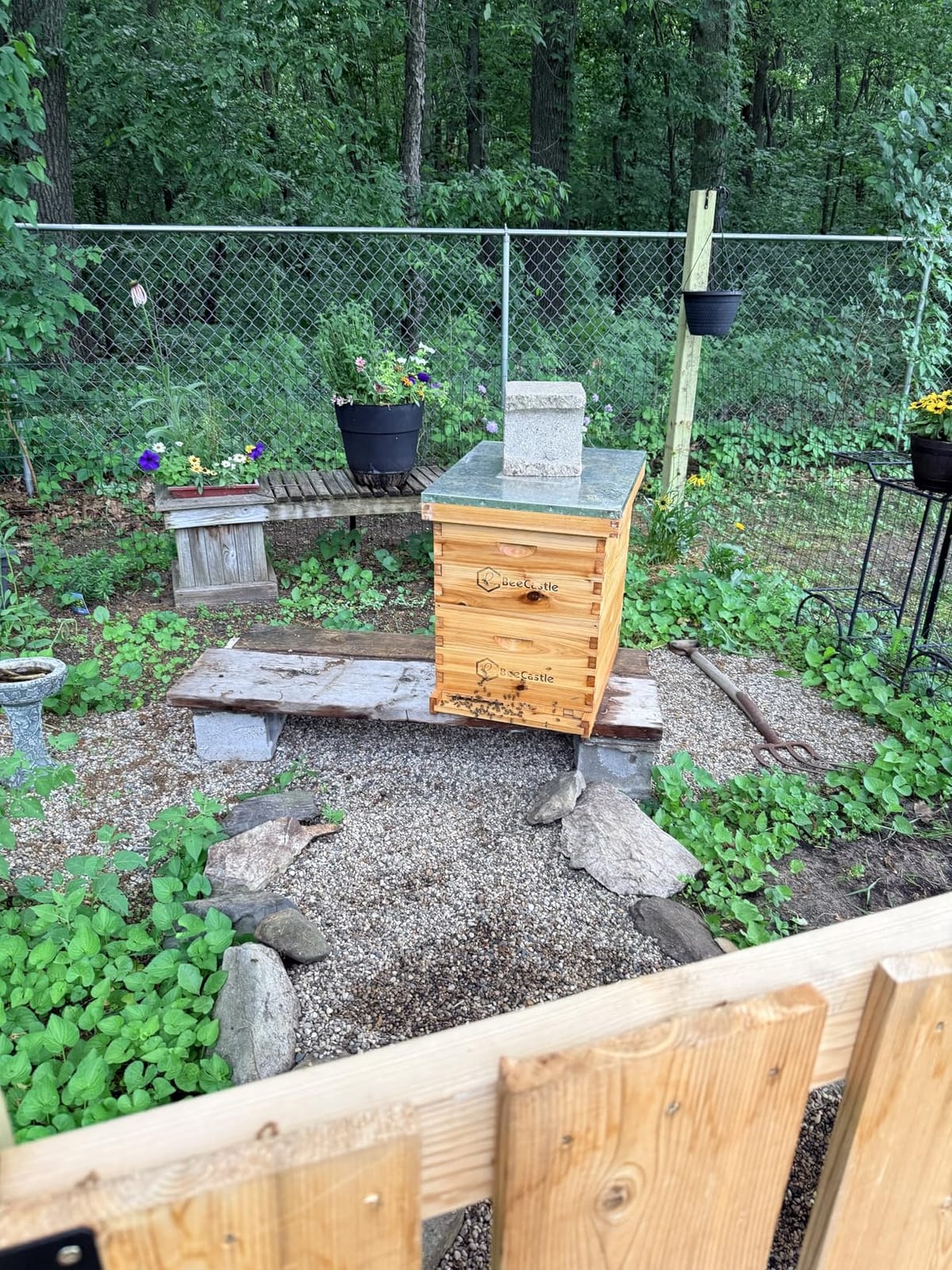BeeCastle 10 Frame Langstroth Bee Hive Coated with Beeswax Includes Beehive Frames and Waxed Foundations (2 Deep Boxes & 1 Medium Box) customer photo 1