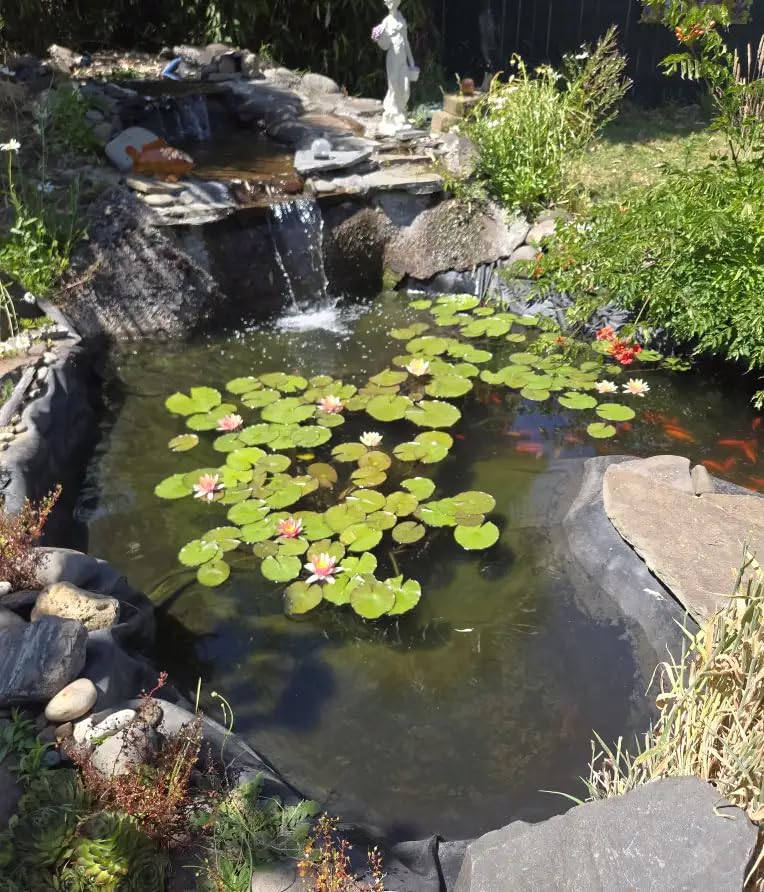 Jebao STU-36 Stainless Steel Pond and Aquarium Clarifier, 36-watt customer photo 1
