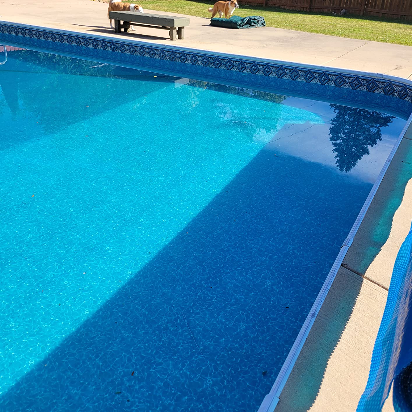 Solar Cover Reels for Inground Swimming Pool Swinming Pool Cover Reel Set Above Ground Pool Stainless Steel Solar Reel (22FT, Blue) customer photo 2