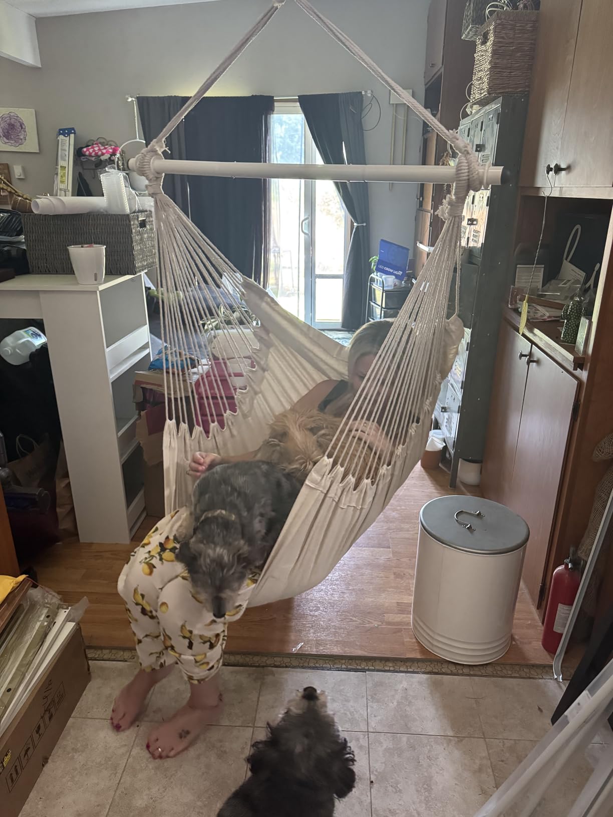 Highwild Hammock Chair Hanging Rope Swing - Max 500 Lbs - 2 Cushions Included - Steel Spreader Bar with Anti-Slip Rings - for Any Indoor or Outdoor Spaces (Grey) customer photo 2