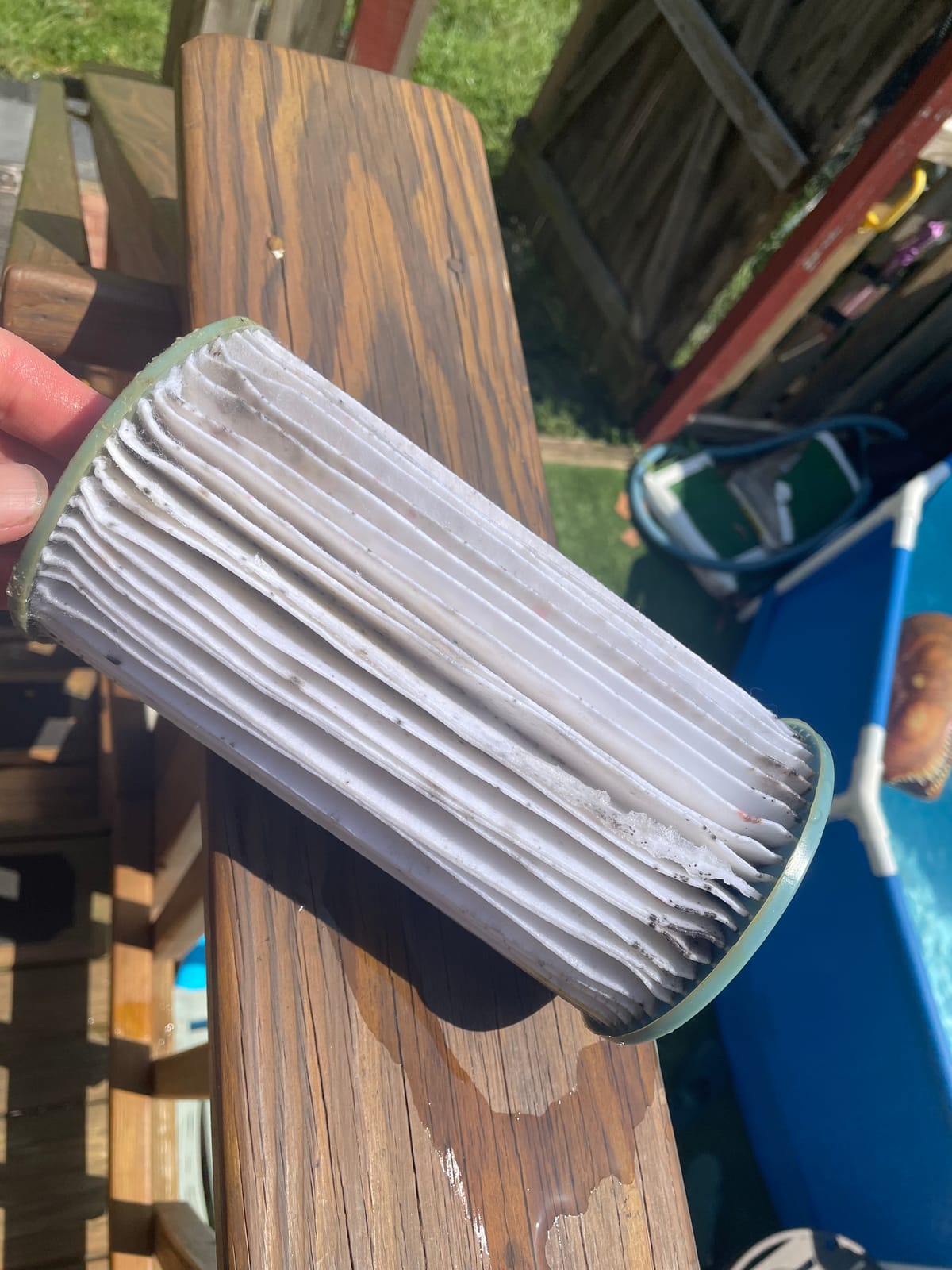 Type A or C Replacement Filter Cartridge for Intex Above Ground Pools customer photo 2