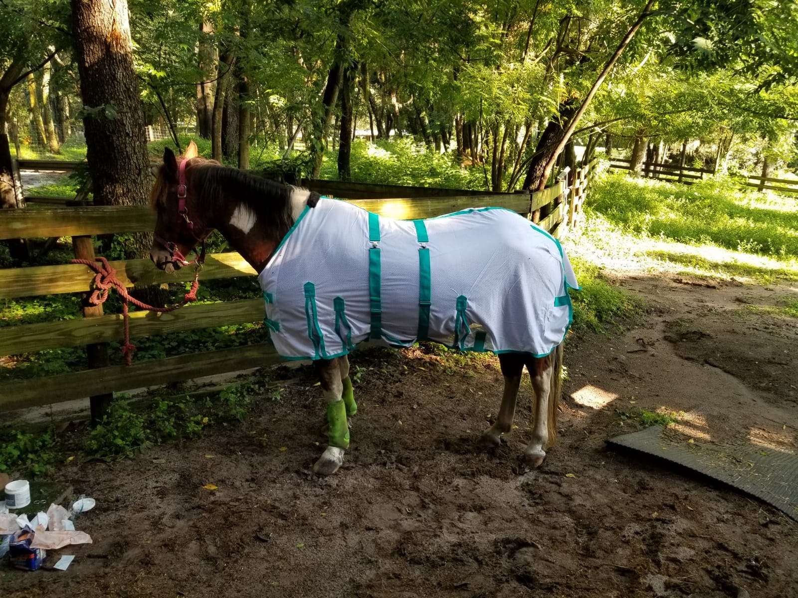 Challenger Horse Mesh Light Weight Summer Fly Sheet Spring Airflow White 73403B customer photo 2