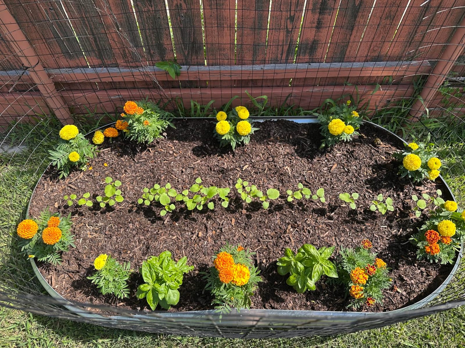 Land Guard Galvanized Raised Garden Bed Kit, Galvanized Planter Garden Boxes Outdoor, Oval Large Metal Raised Garden Beds for Vegetables………… customer photo 2