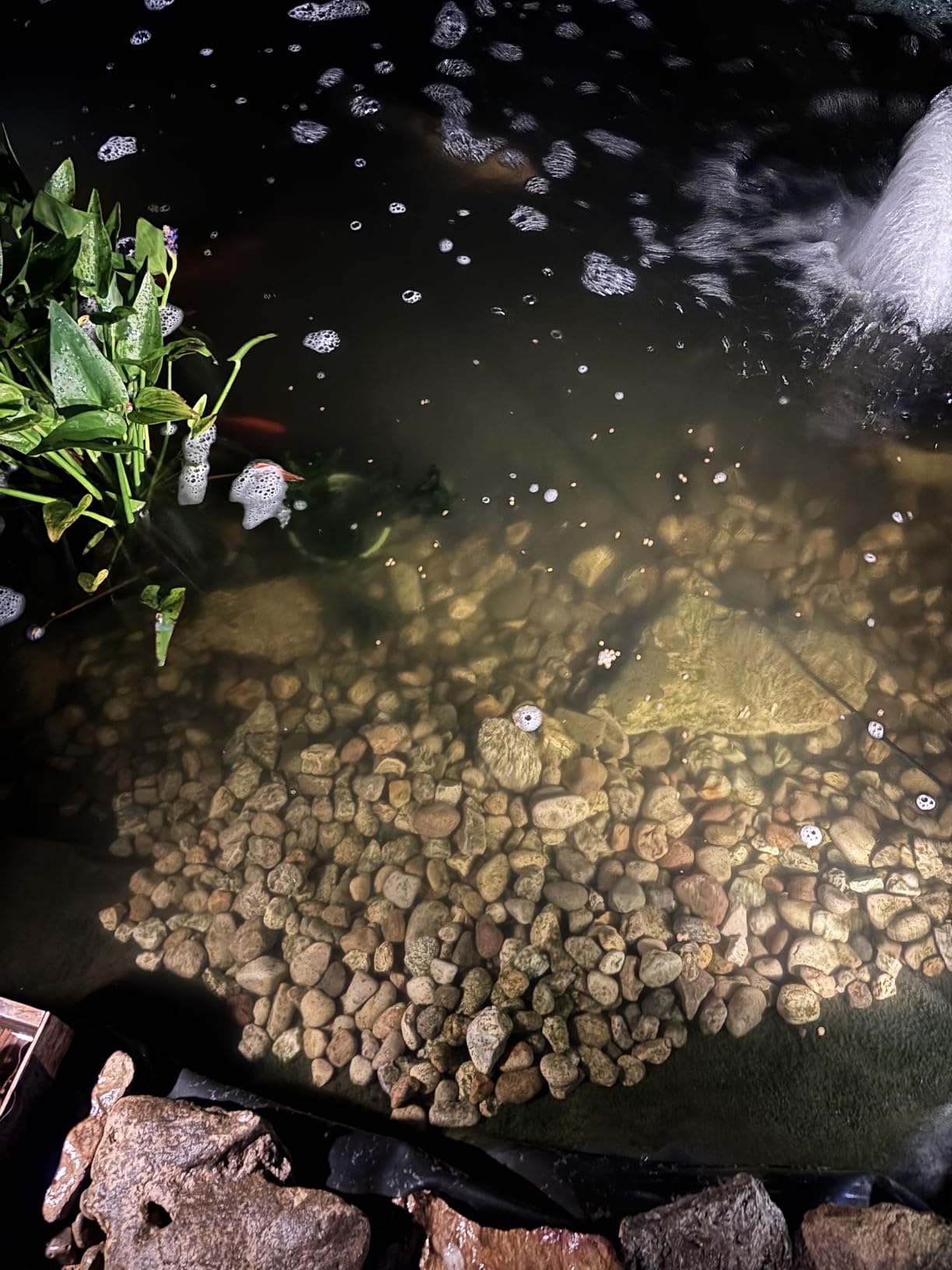 HALF OFF PONDS Shock Wave 36W in-Line Clarifier for Ponds & Water Features customer photo 2