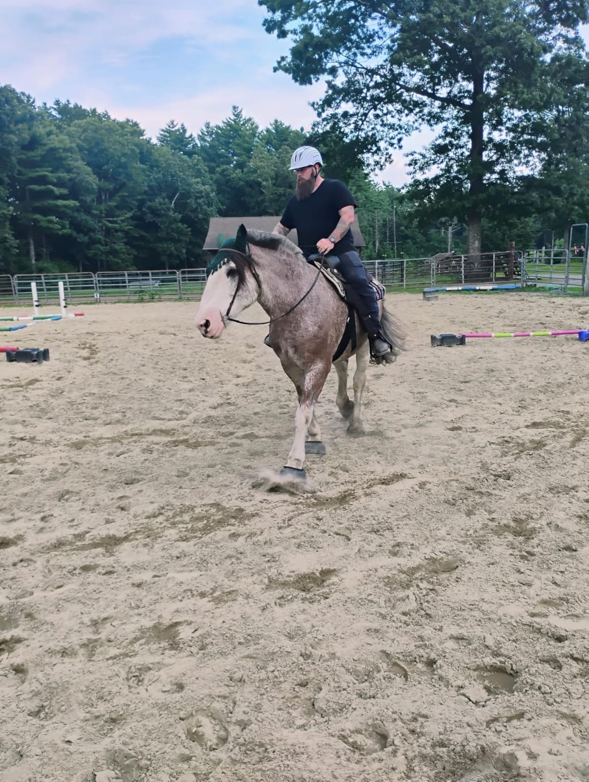 Troxel Sport 2.0 Injection Molded Horse Riding Helmet, Lightweight Adjustable Design, Safety Horseback Riding Gear customer photo 2