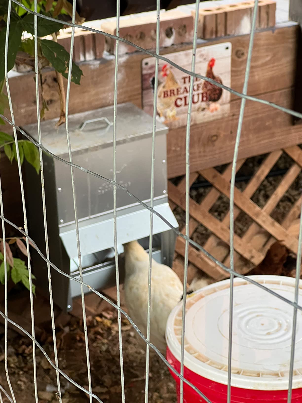 RentACoop Metal Trough Feeder, Gravity-fed 10lb Chicken Feeder customer photo 1