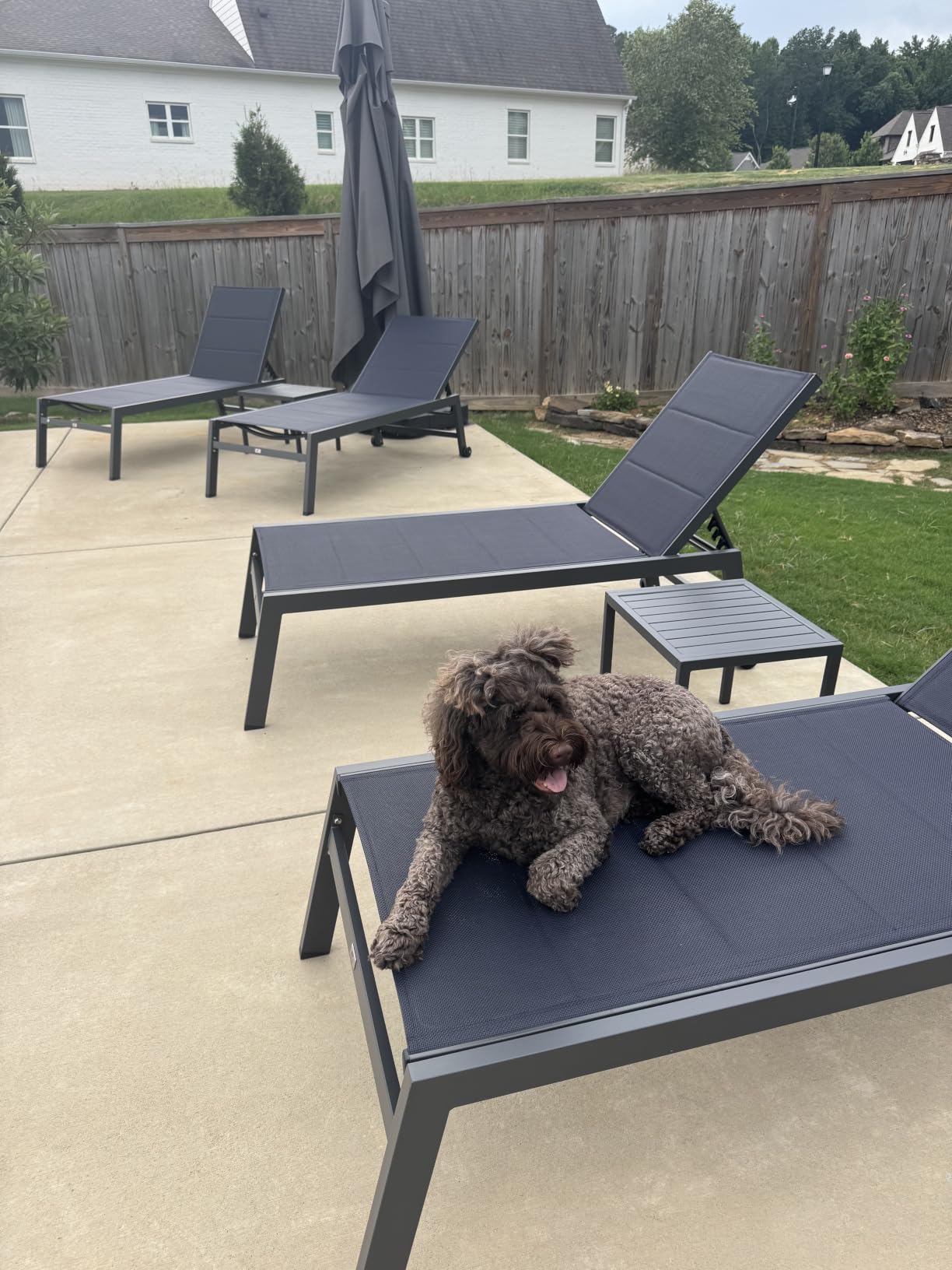 PURPLE LEAF Chaise Lounge Outdoor Set of 2 with Wheels, Aluminum, Beige customer photo 1