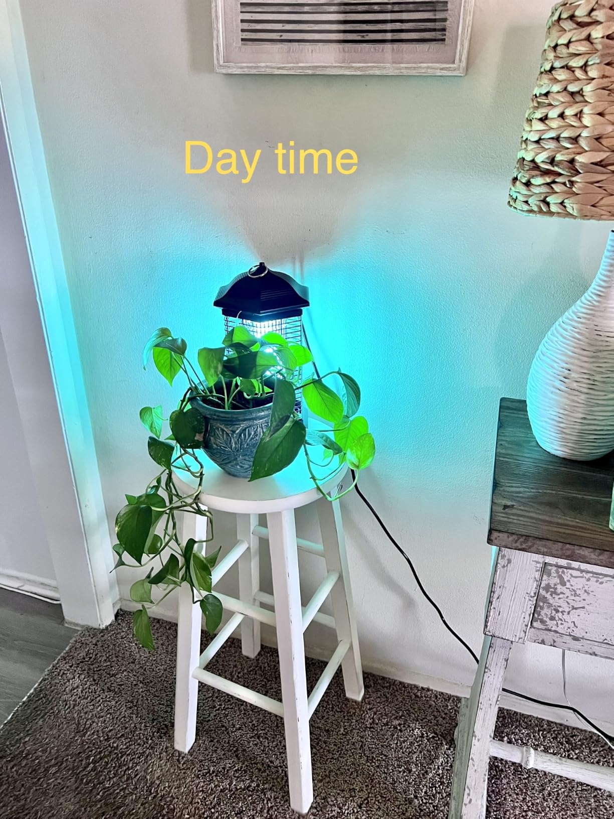 AMUFER Bug Zapper Outdoor Indoor with18W Power & 4400V Instant Grid customer photo 1
