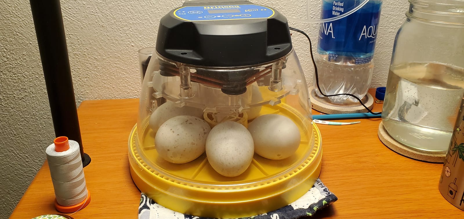 Brinsea Maxi 24 EX Egg Incubator with Automatic Turning & Humidity Control customer photo 1