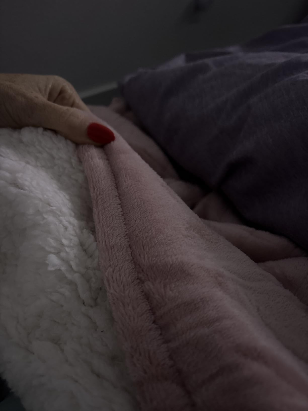 GOTCOZY Heated Blanket-Soft Plush Electric Blanket 50