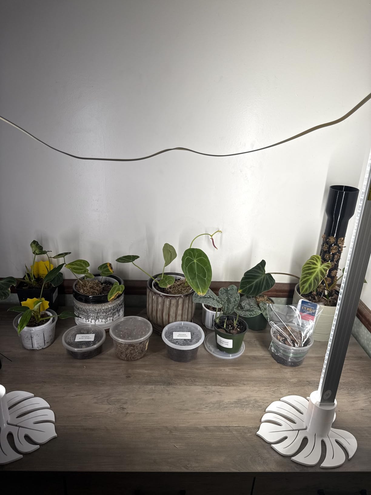 Barrina Plant Grow Lights, 4FT 5000K Full Spectrum Daylight White, 6 Packs customer photo 2