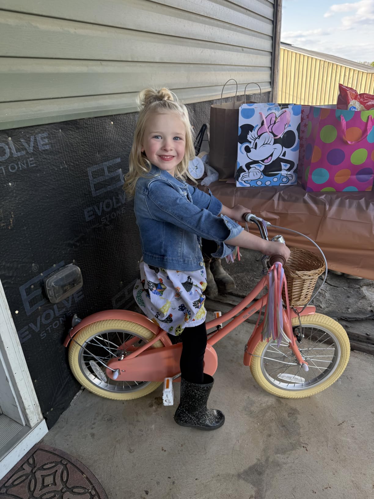 Glerc Little Molly 12-20 Inch Kids Retro Cruiser Bike for 2-13 Year Old with Wicker Basket & Training Wheels/Kickstand, Multiple Colors customer photo 1